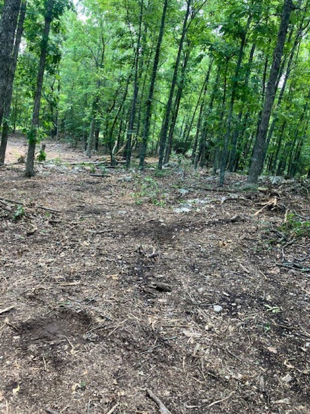 Photo 6 - Vacant Land for sale – 605  Lone Oak Road   Williford, AR