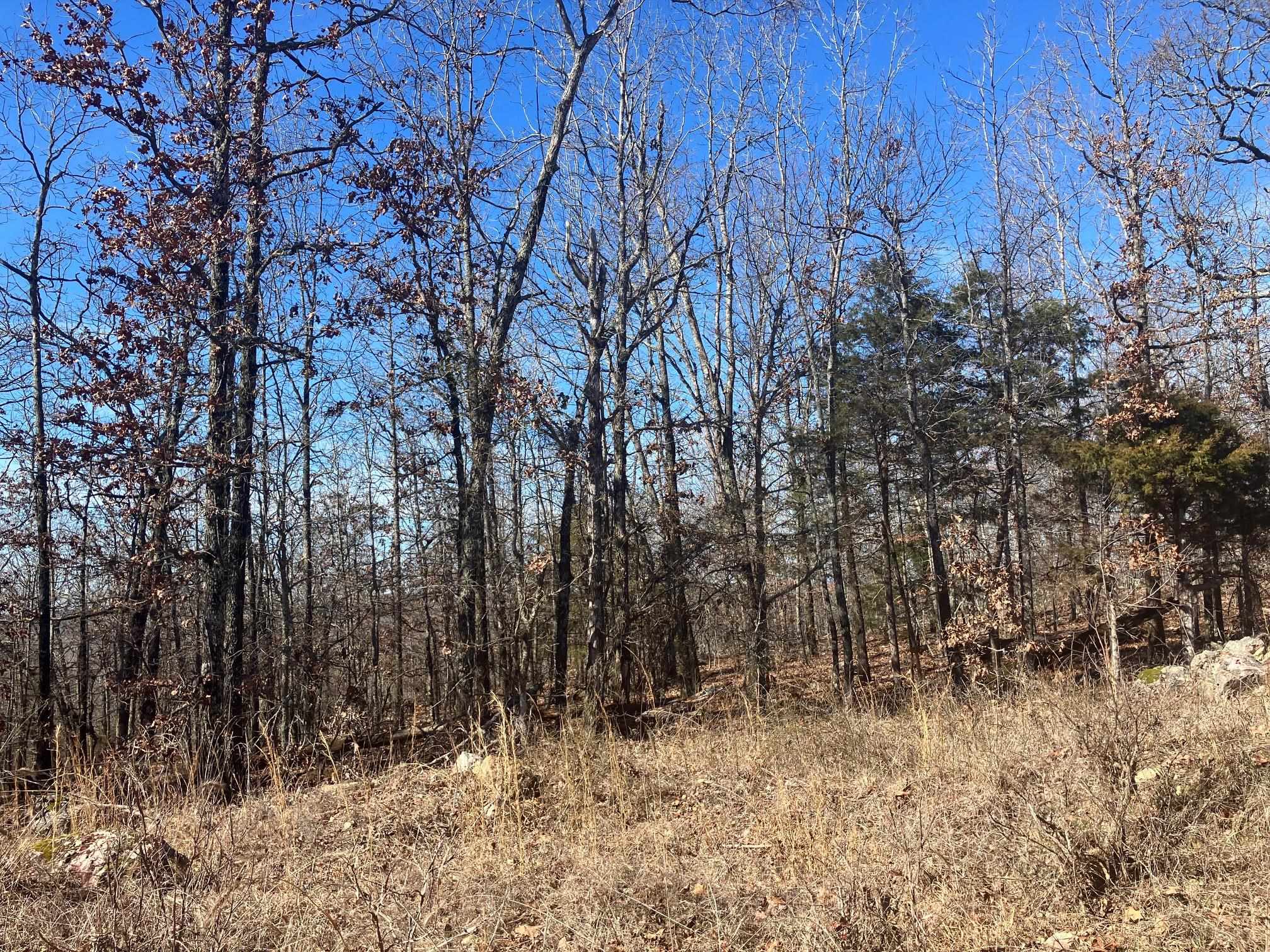 Photo 7 - Vacant Land for sale – 605  Lone Oak Road   Williford, AR