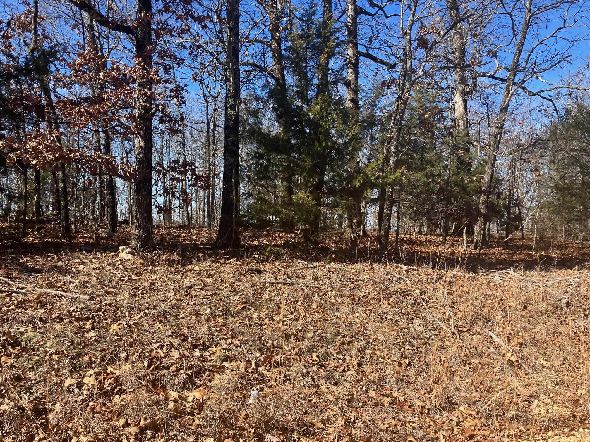 Photo 8 - Vacant Land for sale – 605  Lone Oak Road   Williford, AR