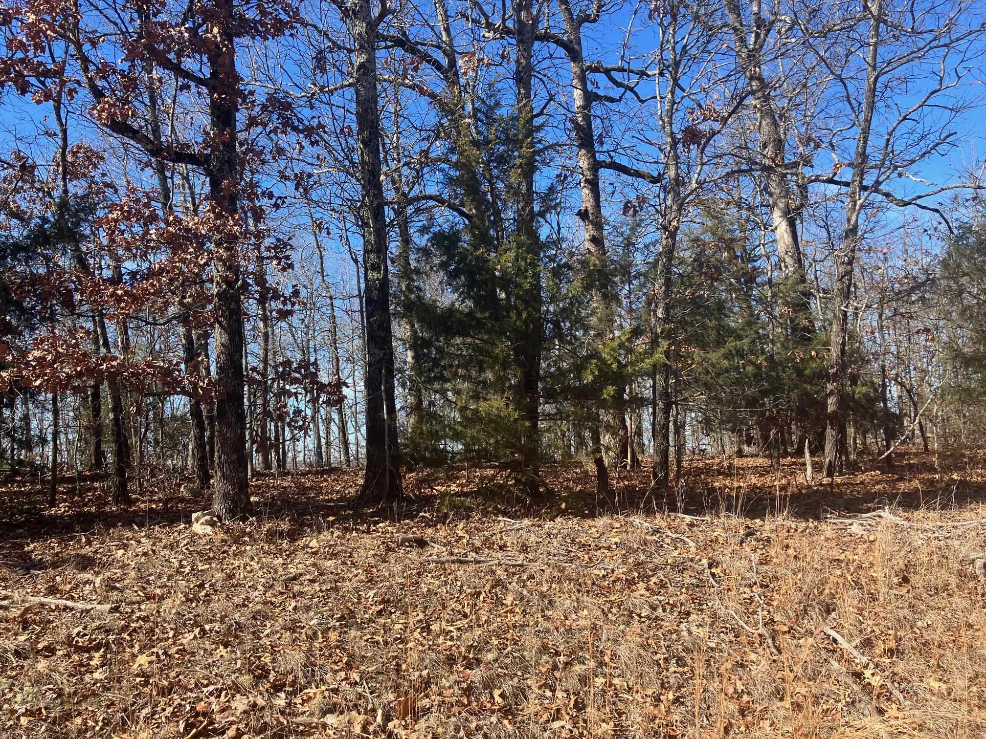 Photo 9 - Vacant Land for sale – 605  Lone Oak Road   Williford, AR