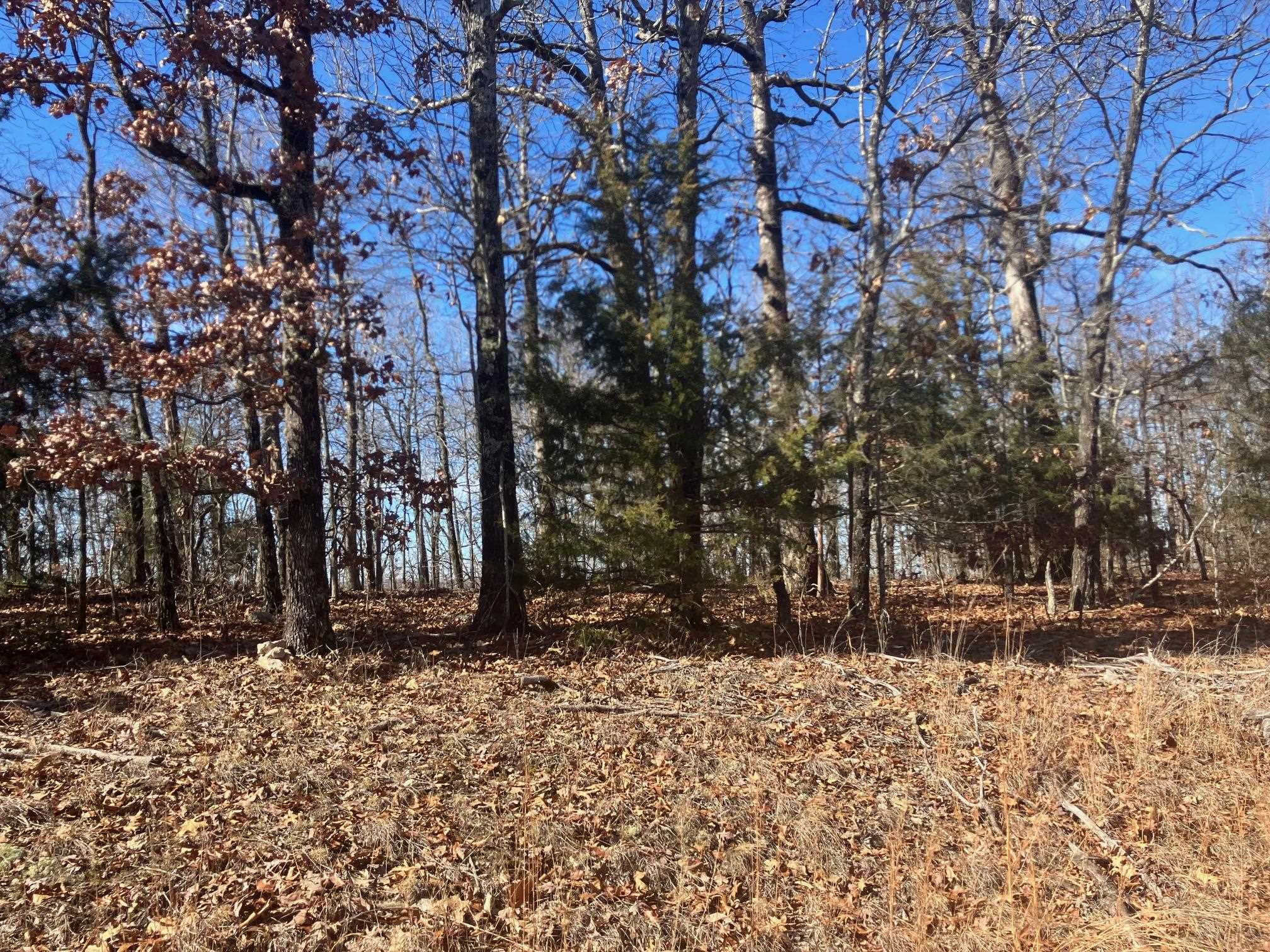 Photo 10 - Vacant Land for sale – 605  Lone Oak Road   Williford, AR