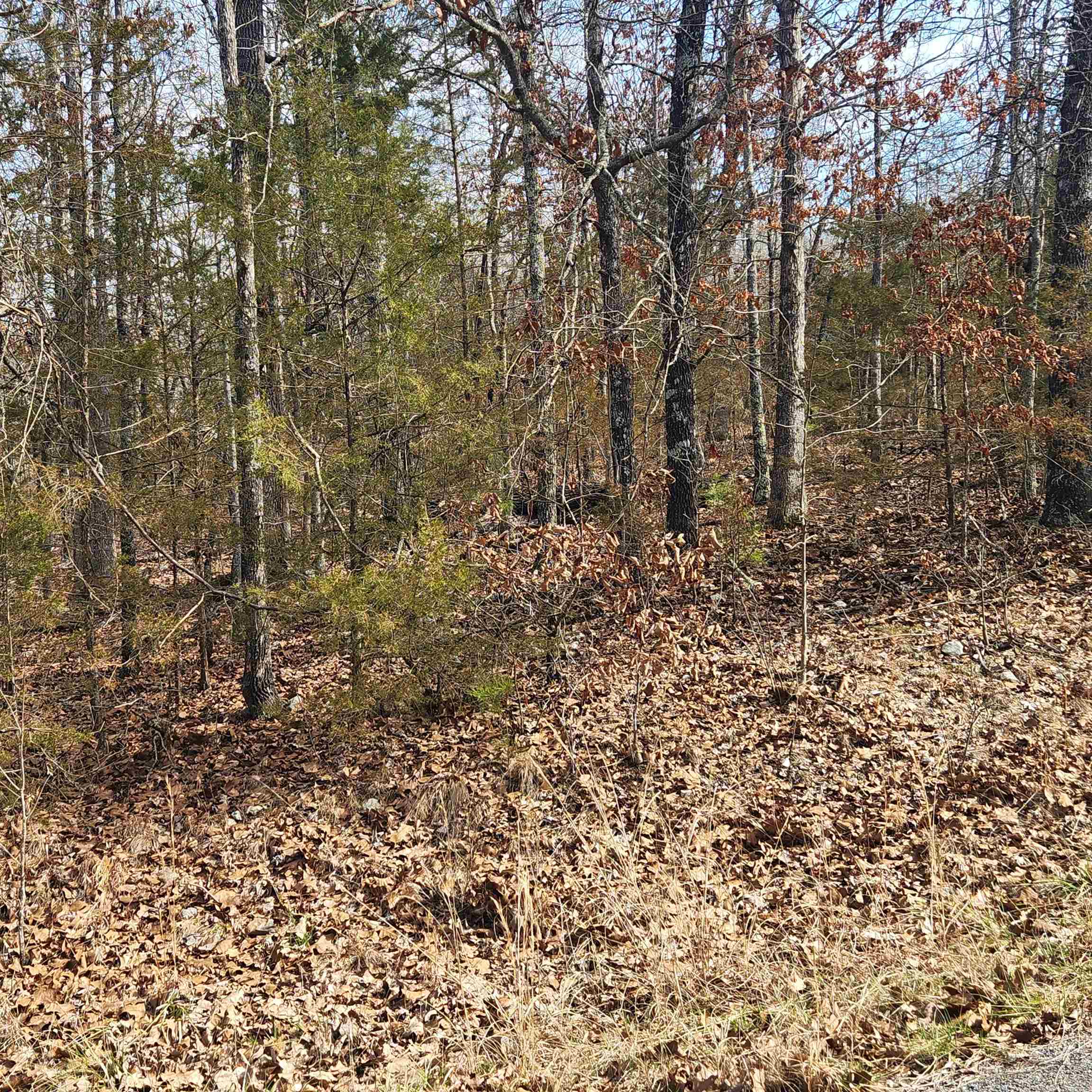 Photo 2 - Vacant Land for sale – L10 B02  Awi   Cherokee Village, AR
