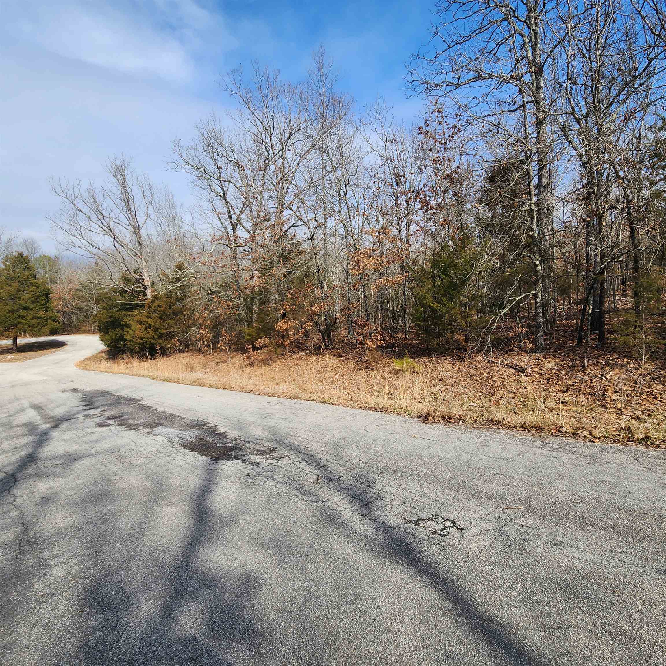 Photo 11 - Vacant Land for sale – L10 B02  Awi   Cherokee Village, AR