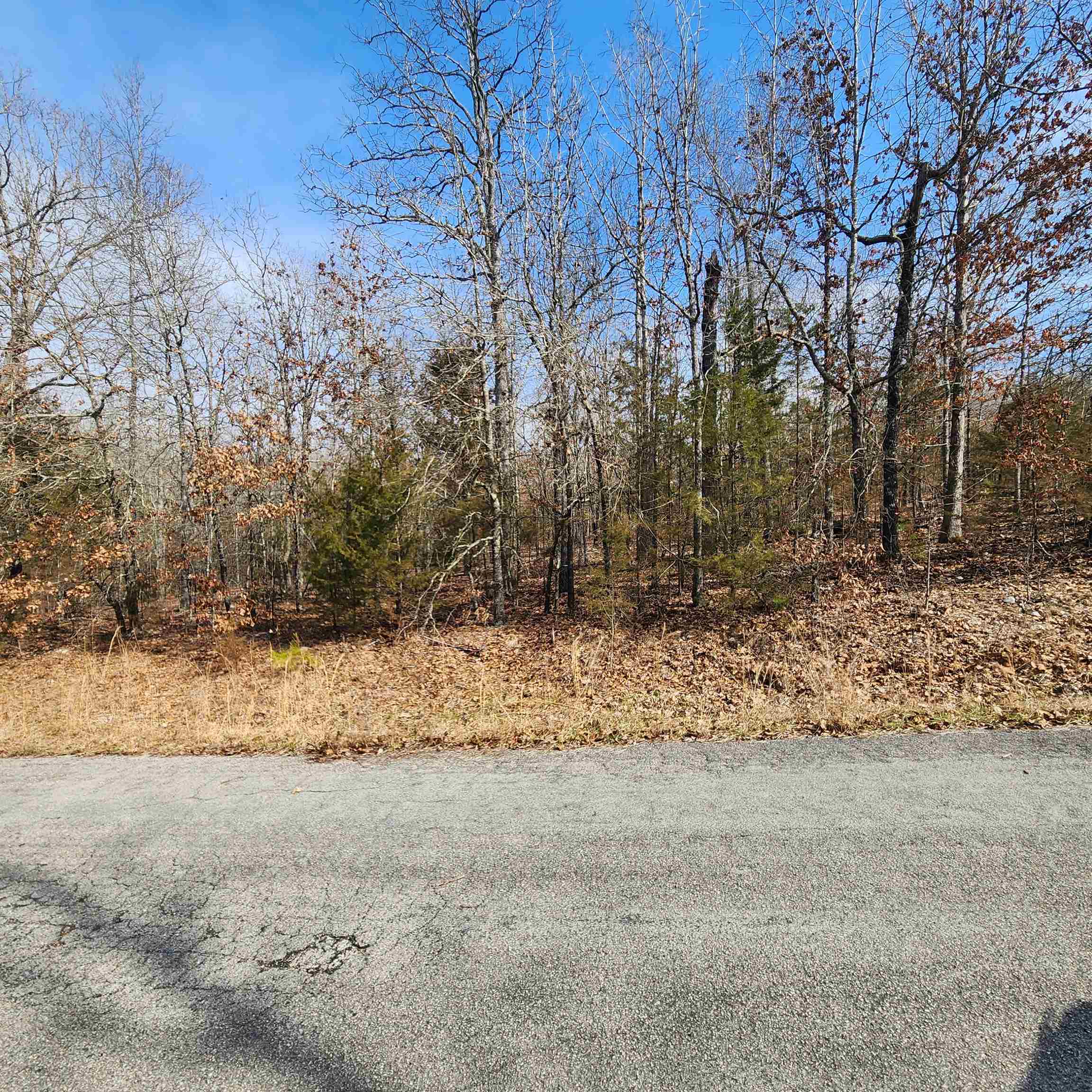 Photo 12 - Vacant Land for sale – L10 B02  Awi   Cherokee Village, AR