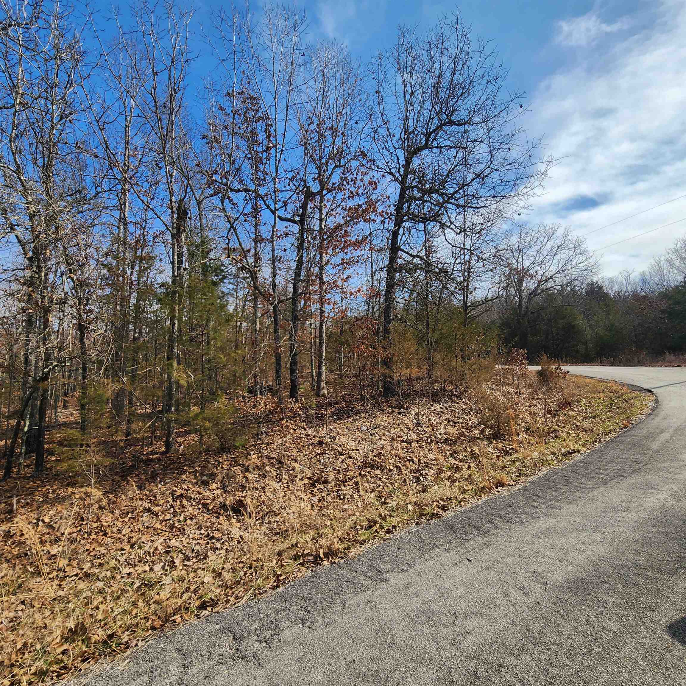Photo 13 - Vacant Land for sale – L10 B02  Awi   Cherokee Village, AR