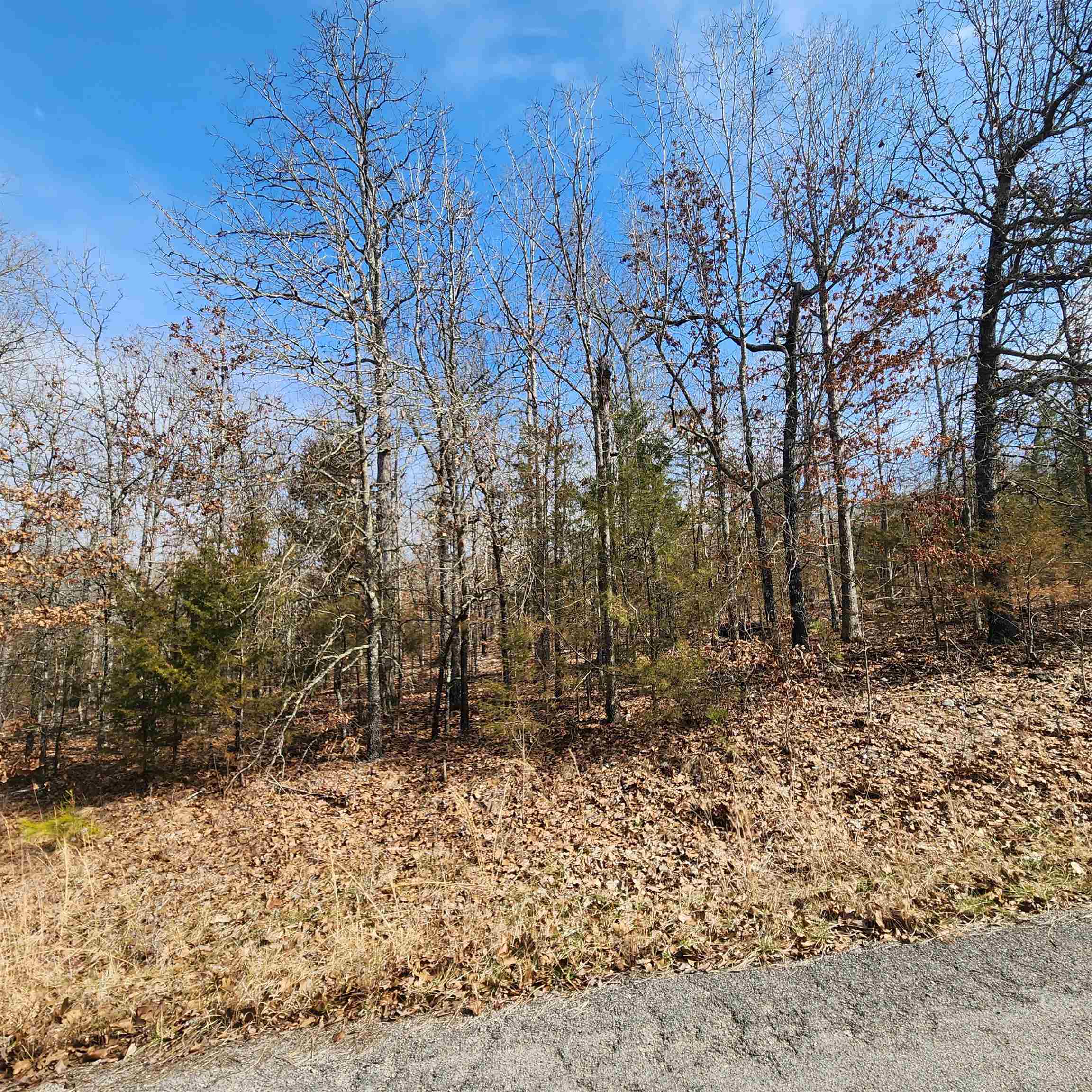 Photo 14 - Vacant Land for sale – L10 B02  Awi   Cherokee Village, AR