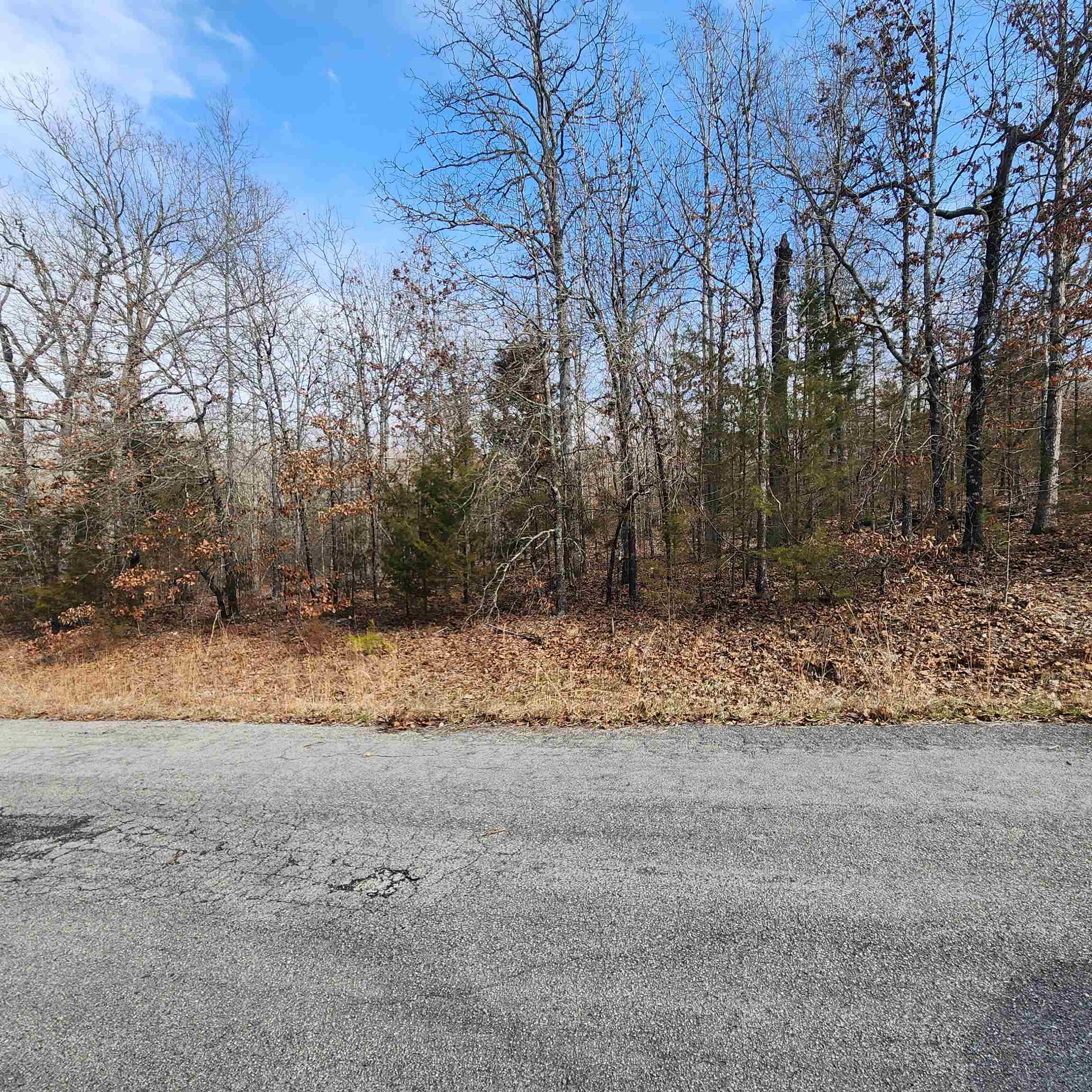 Photo 16 - Vacant Land for sale – L10 B02  Awi   Cherokee Village, AR