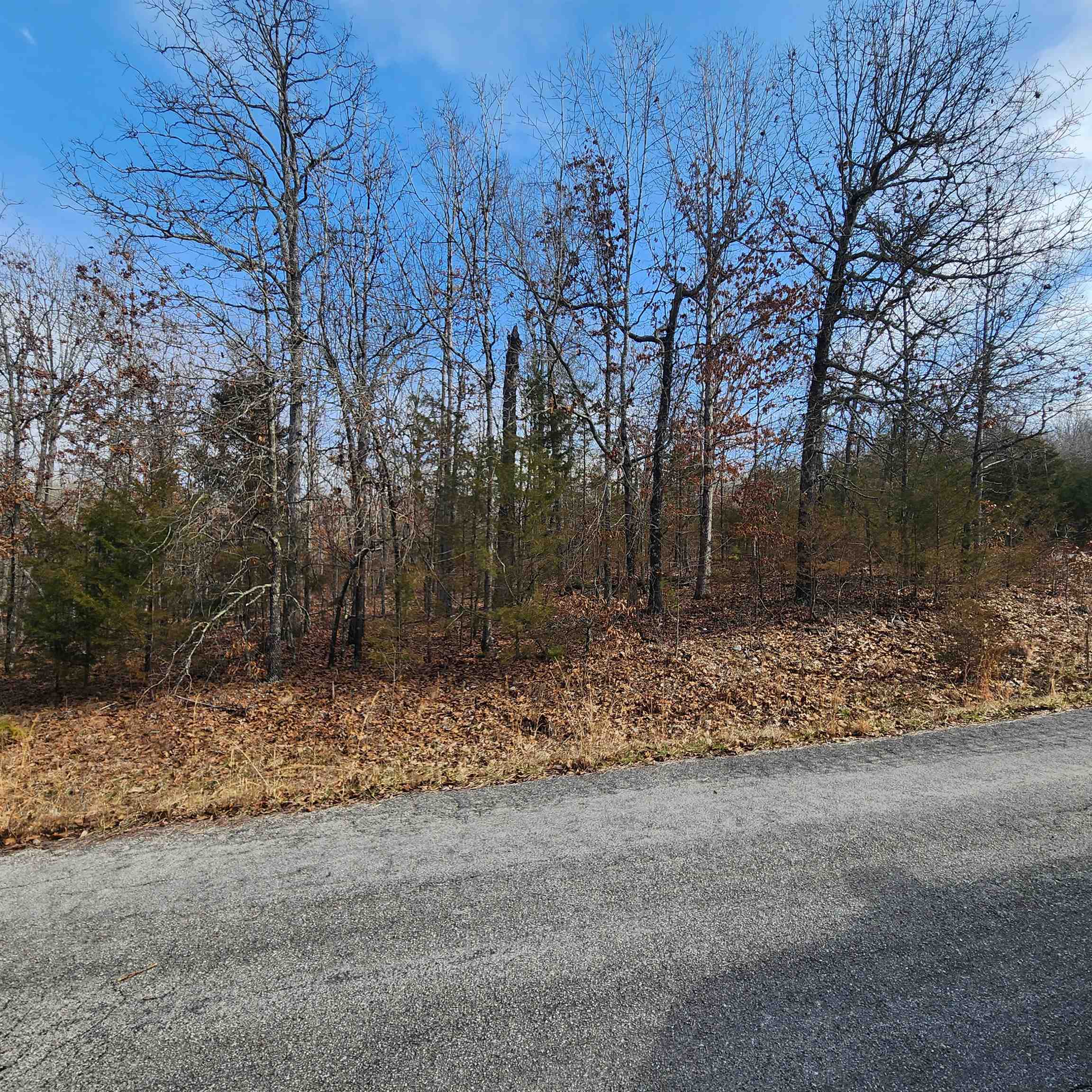 Photo 17 - Vacant Land for sale – L10 B02  Awi   Cherokee Village, AR