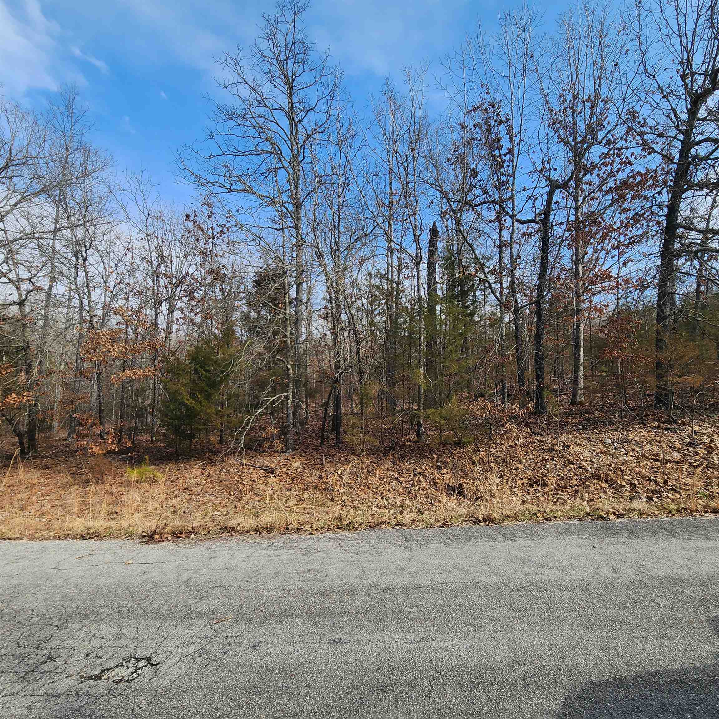 Photo 18 - Vacant Land for sale – L10 B02  Awi   Cherokee Village, AR