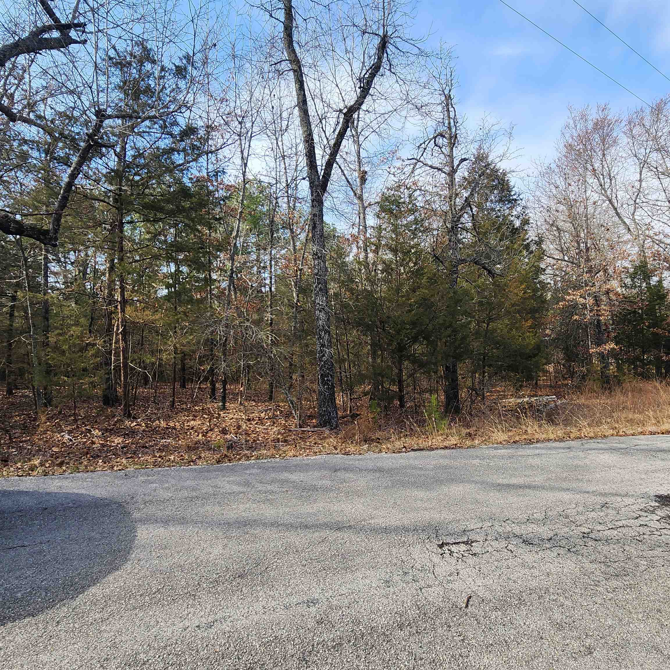 Photo 19 - Vacant Land for sale – L10 B02  Awi   Cherokee Village, AR