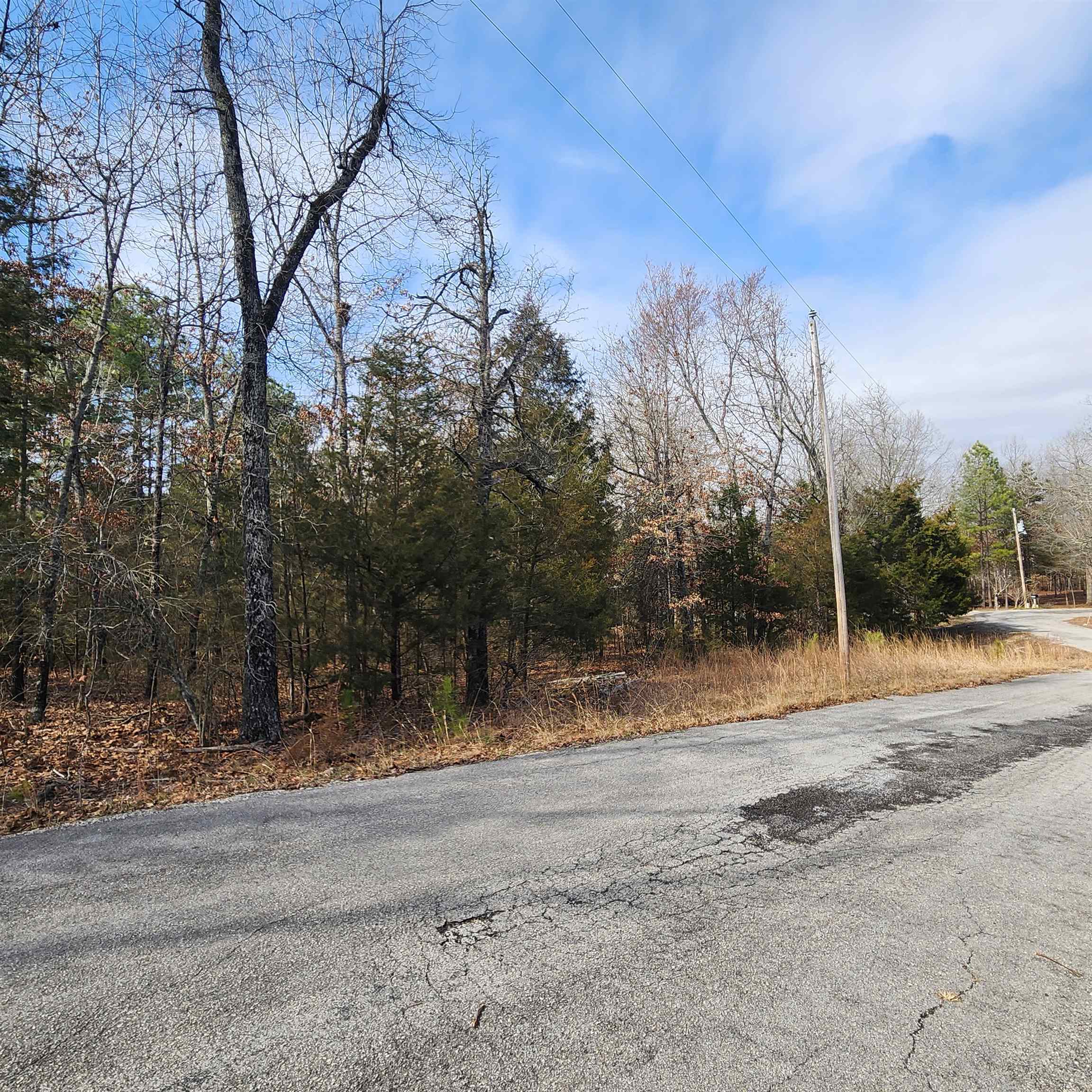 Photo 20 - Vacant Land for sale – L10 B02  Awi   Cherokee Village, AR
