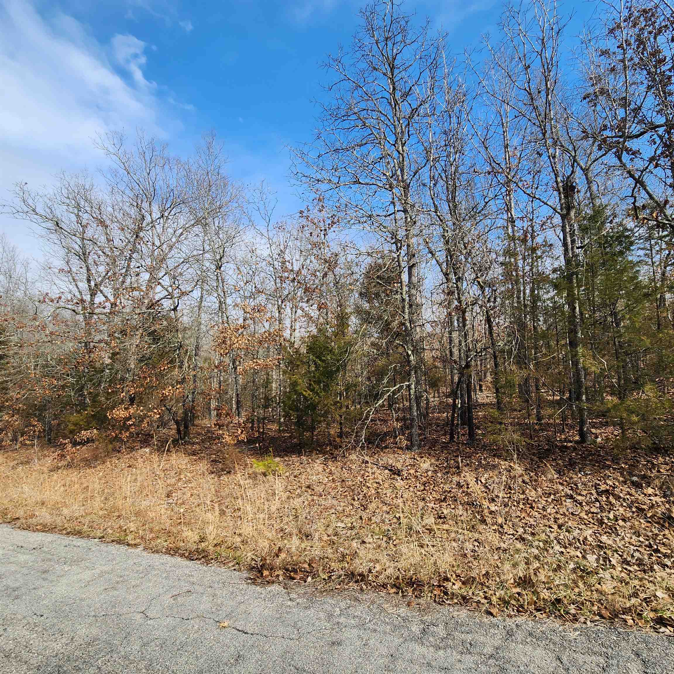 Photo 3 - Vacant Land for sale – L10 B02  Awi   Cherokee Village, AR