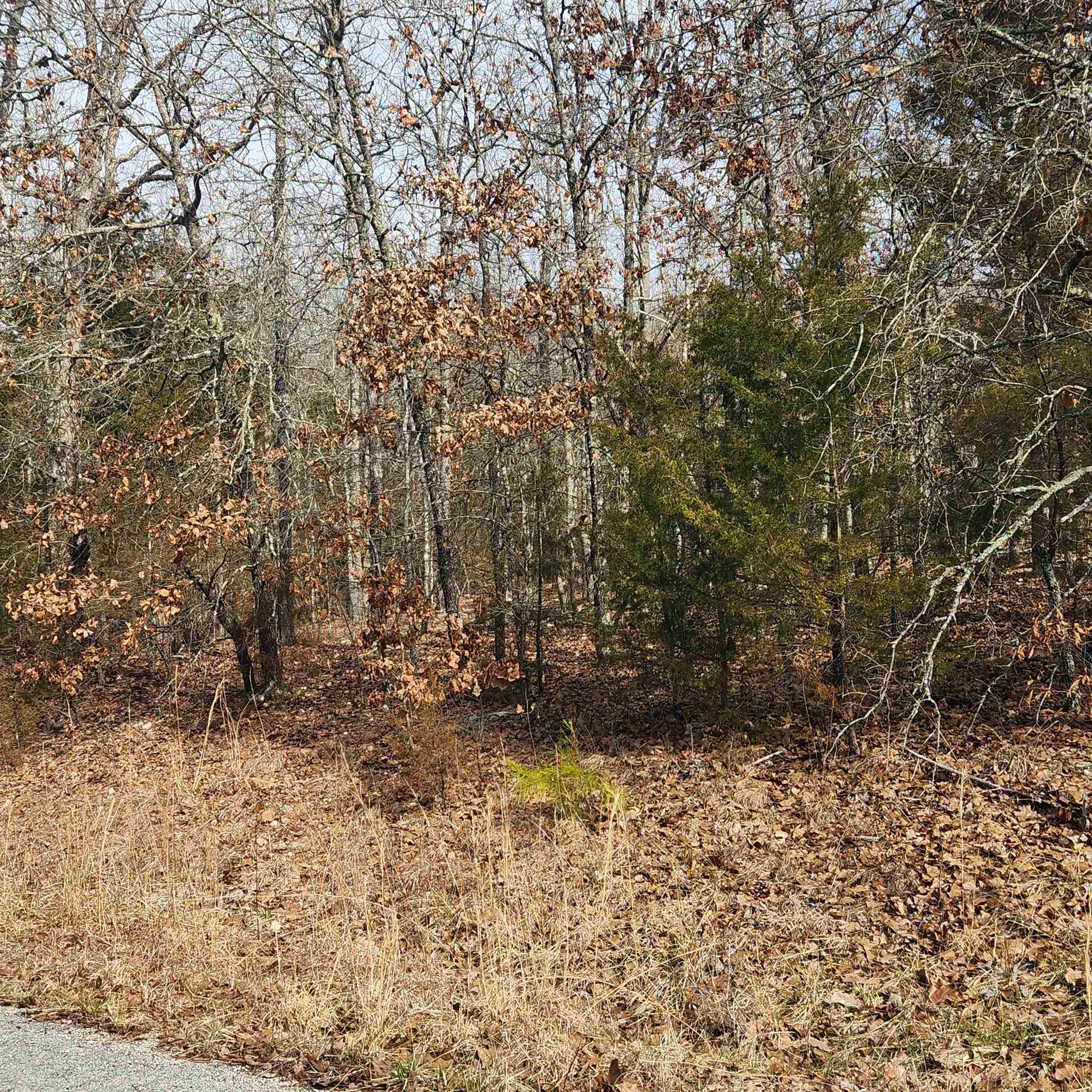 Photo 4 - Vacant Land for sale – L10 B02  Awi   Cherokee Village, AR