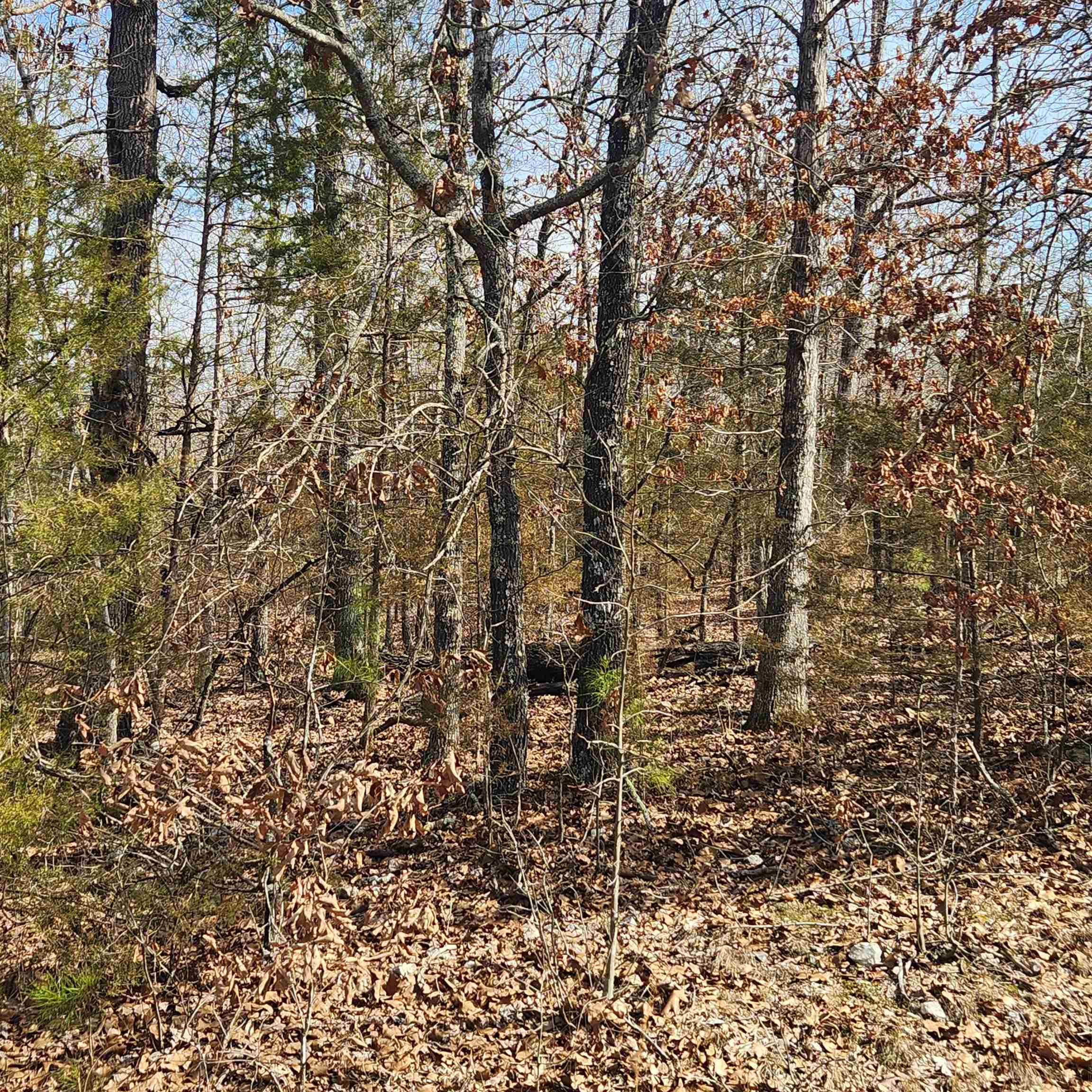 Photo 5 - Vacant Land for sale – L10 B02  Awi   Cherokee Village, AR