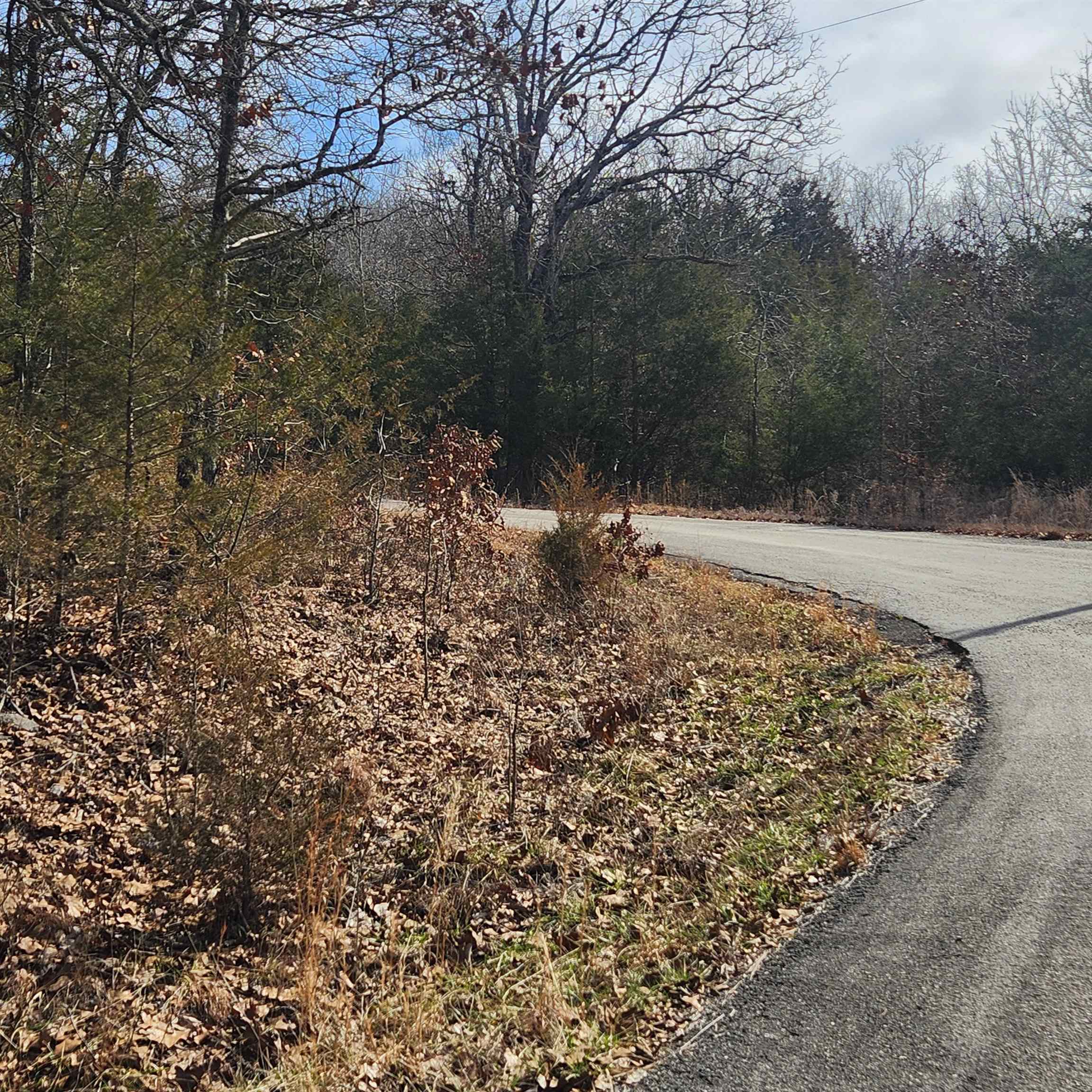Photo 6 - Vacant Land for sale – L10 B02  Awi   Cherokee Village, AR
