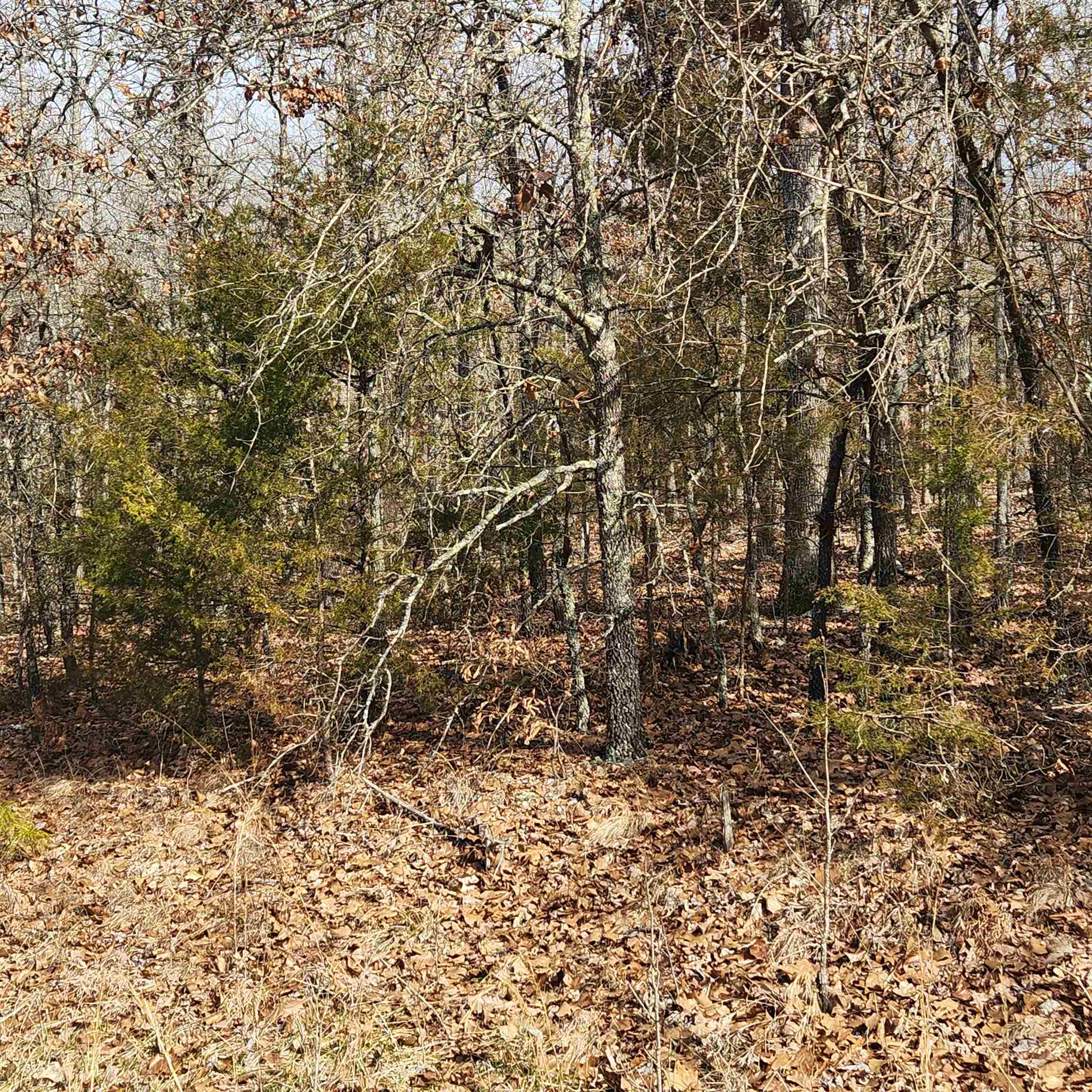 Photo 7 - Vacant Land for sale – L10 B02  Awi   Cherokee Village, AR