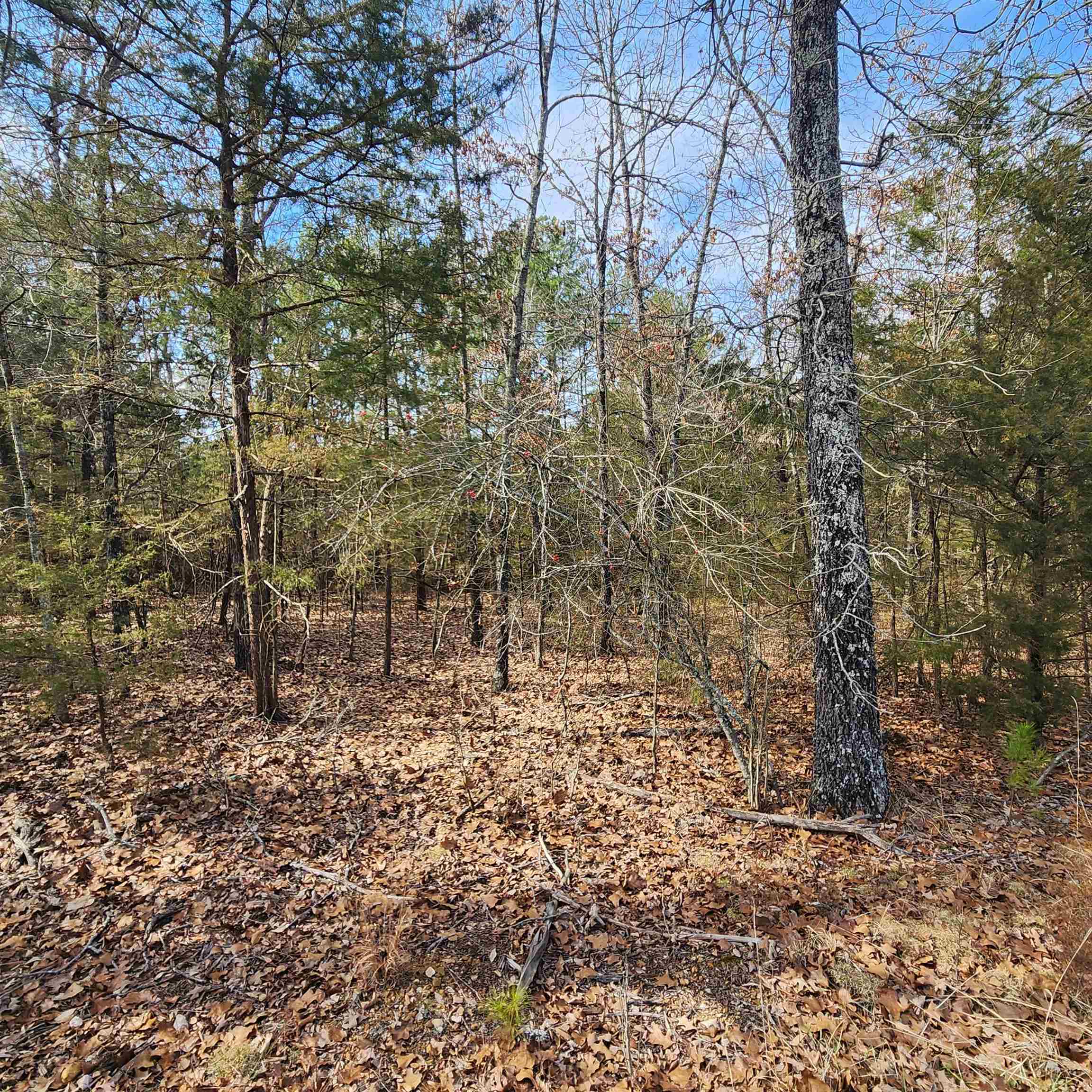 Photo 8 - Vacant Land for sale – L10 B02  Awi   Cherokee Village, AR