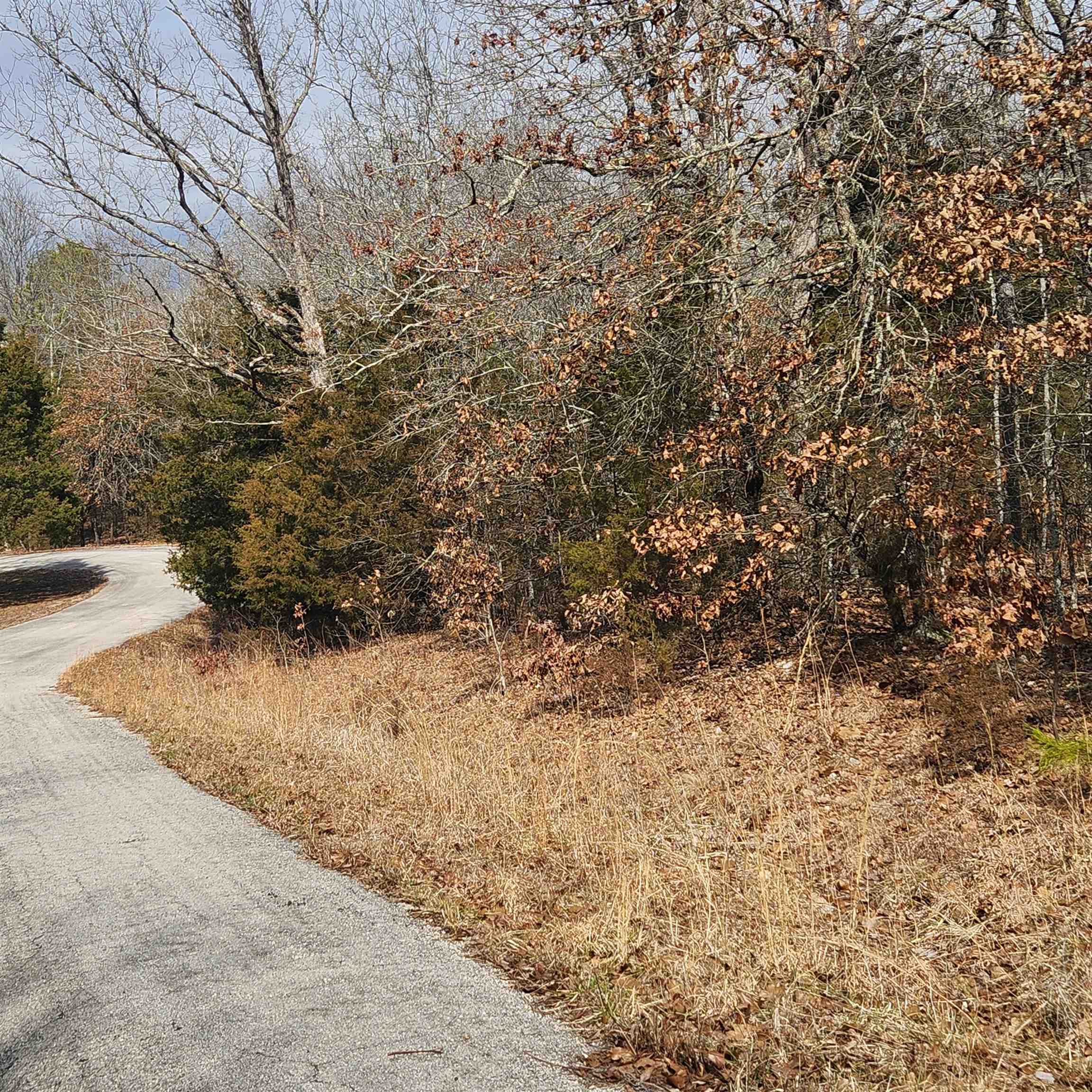 Photo 10 - Vacant Land for sale – L10 B02  Awi   Cherokee Village, AR