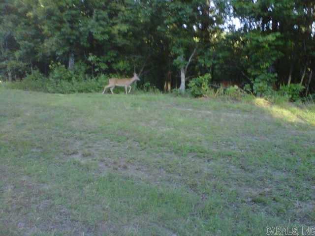Photo 6 - Vacant Land for sale –   Wilshire   Fairfield Bay, AR