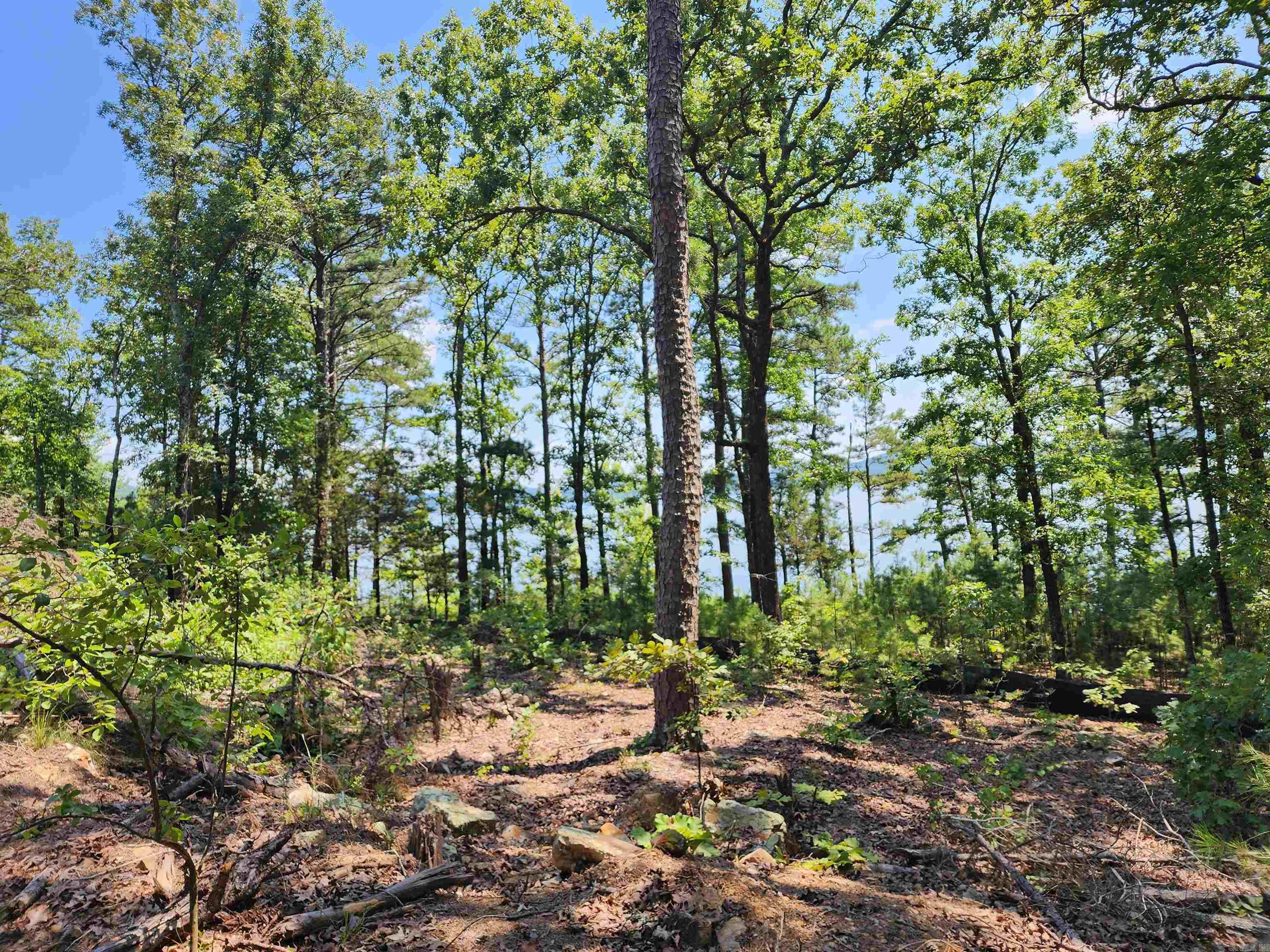 Photo 10 - Vacant Land for sale –   Wilshire   Fairfield Bay, AR