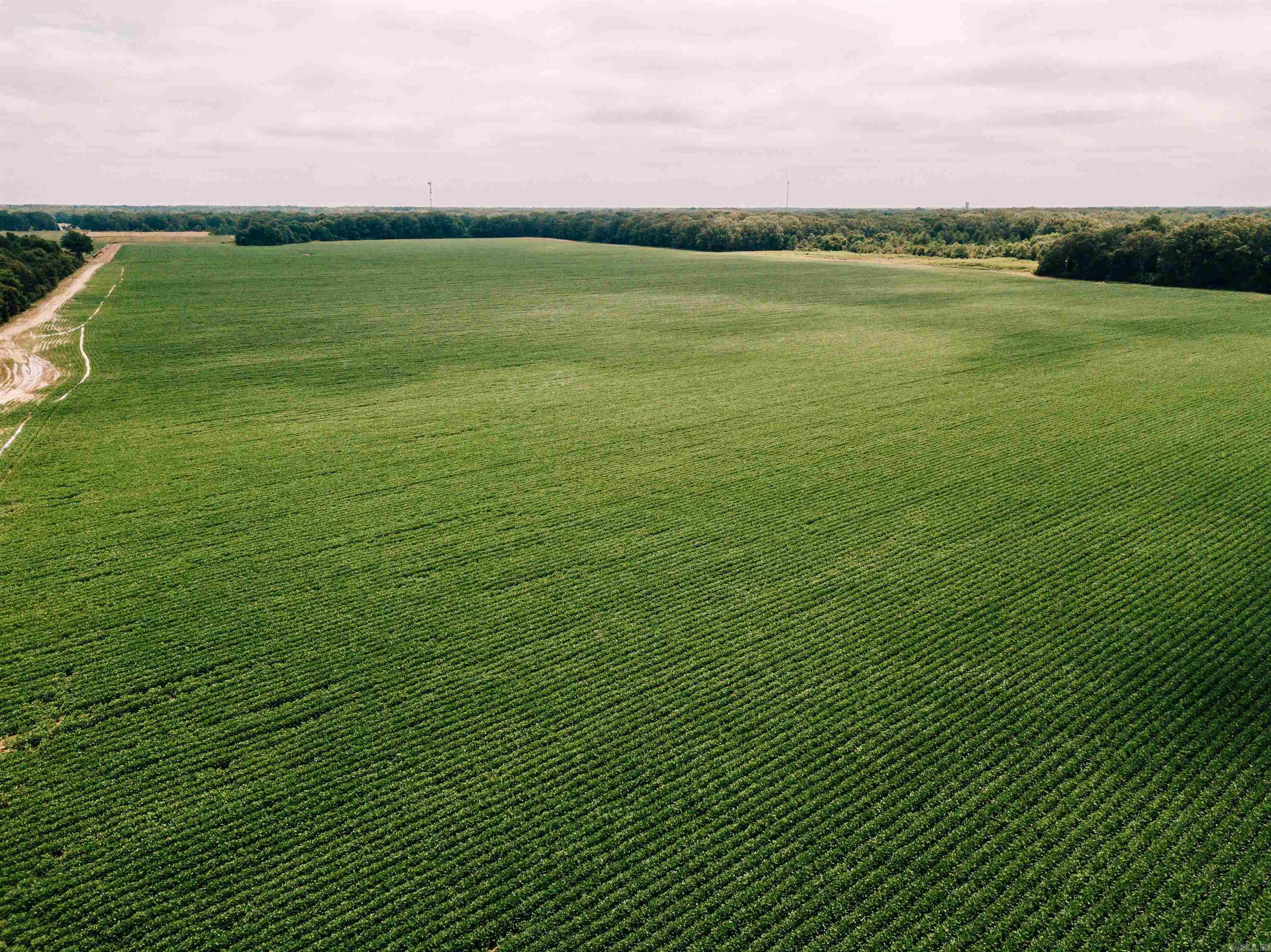 Vacant Land for sale – 00 N Monroe   DeWitt, AR