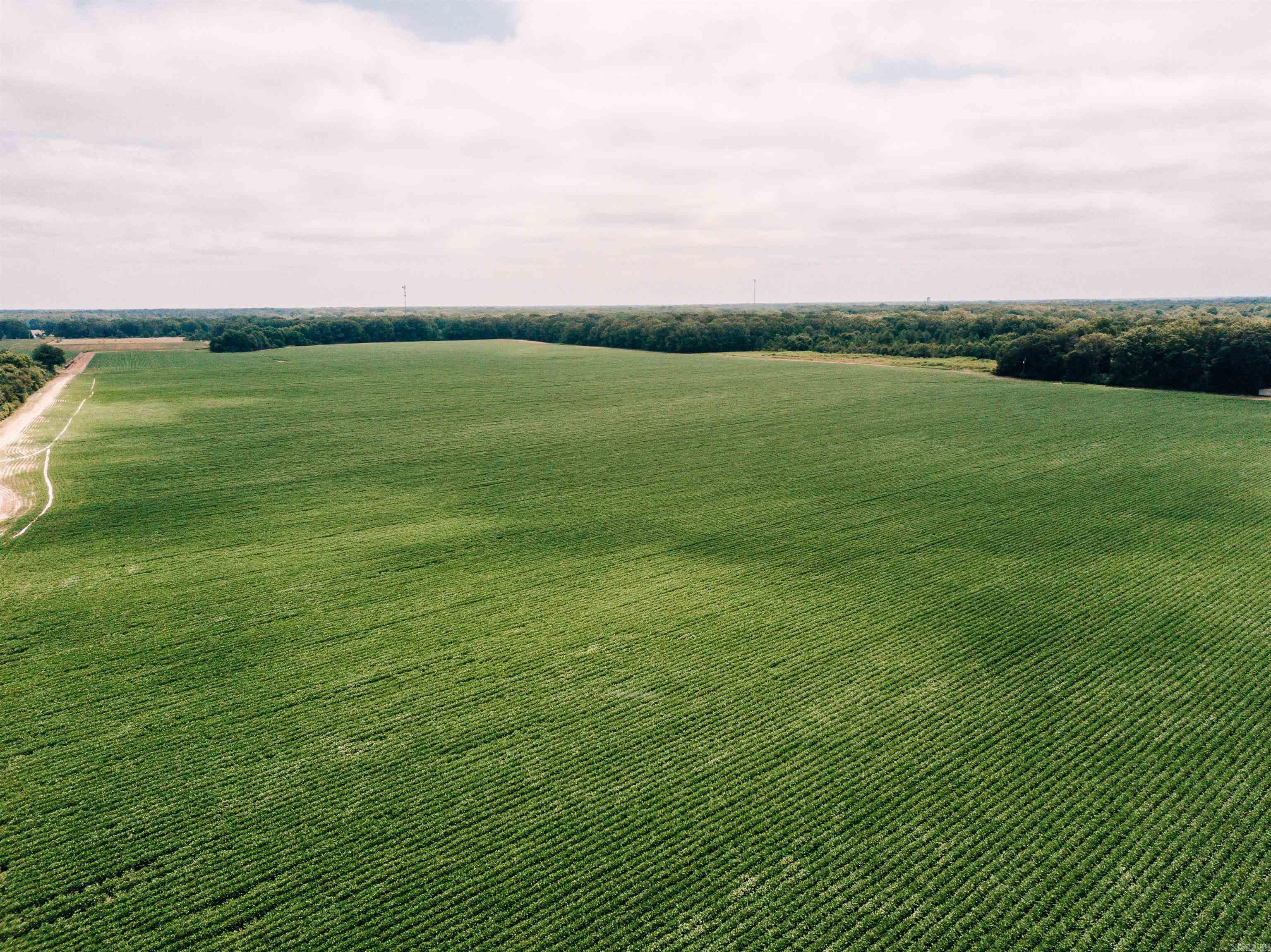 Photo 2 - Vacant Land for sale – 00 N Monroe   DeWitt, AR