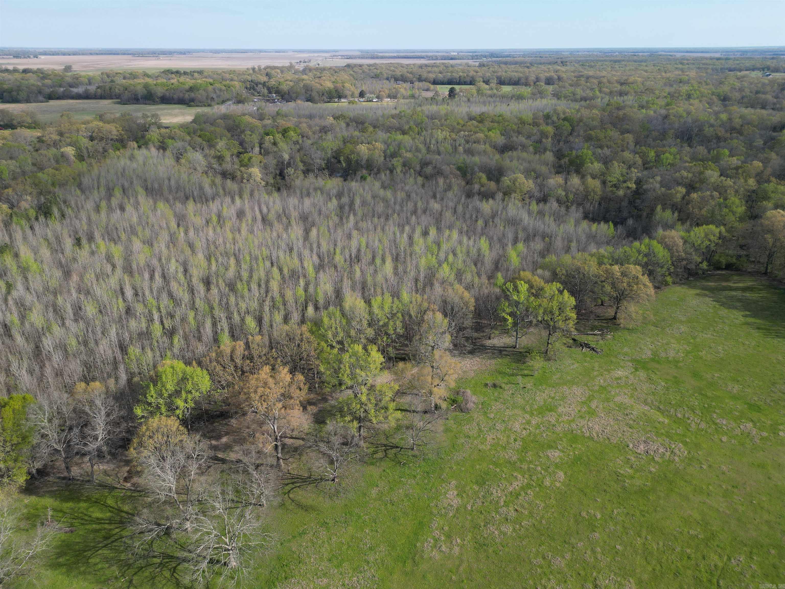 Photo 25 - Vacant Land for sale – 00 N Monroe   DeWitt, AR