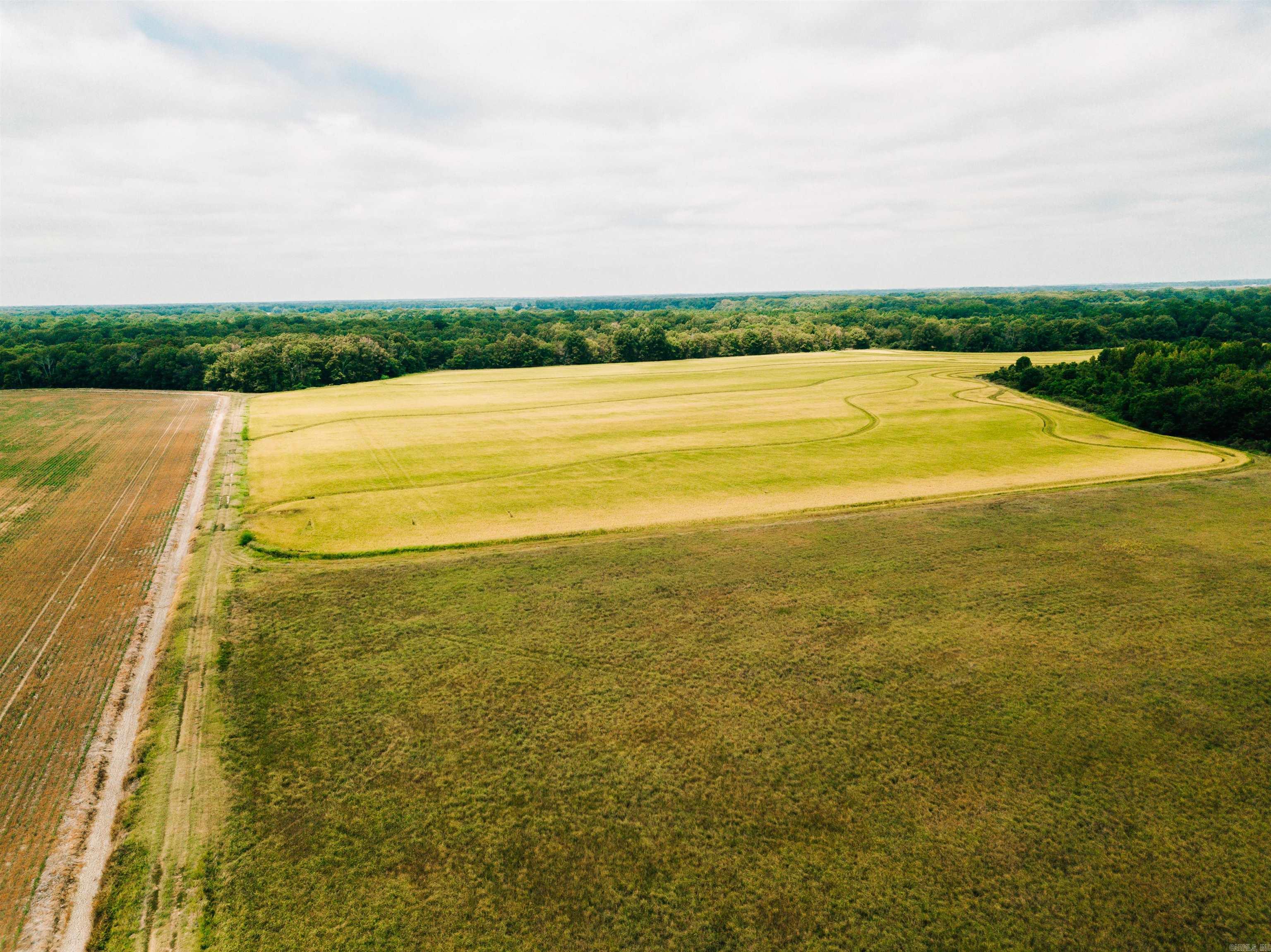 Photo 4 - Vacant Land for sale – 00 N Monroe   DeWitt, AR