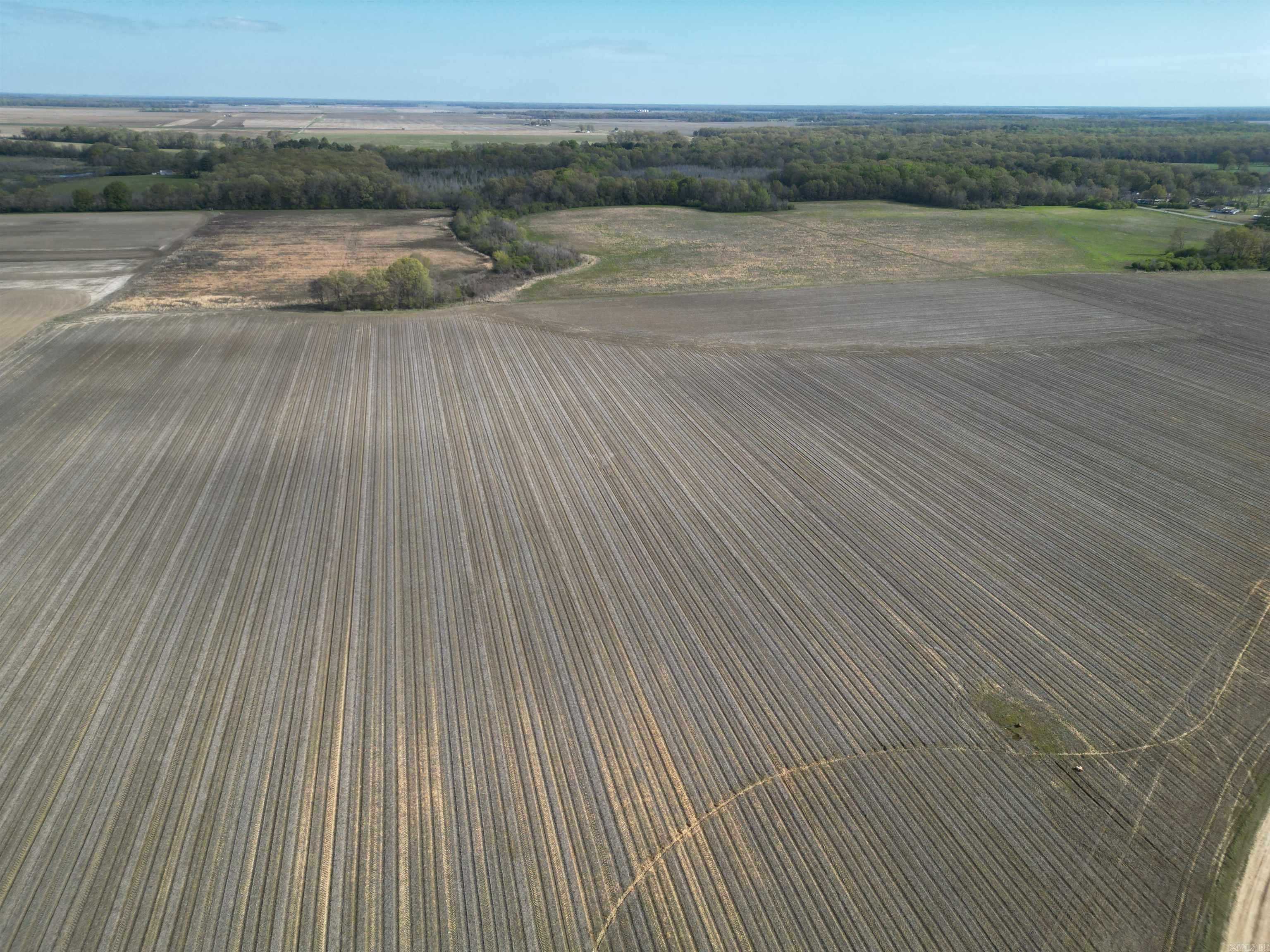 Photo 8 - Vacant Land for sale – 00 N Monroe   DeWitt, AR
