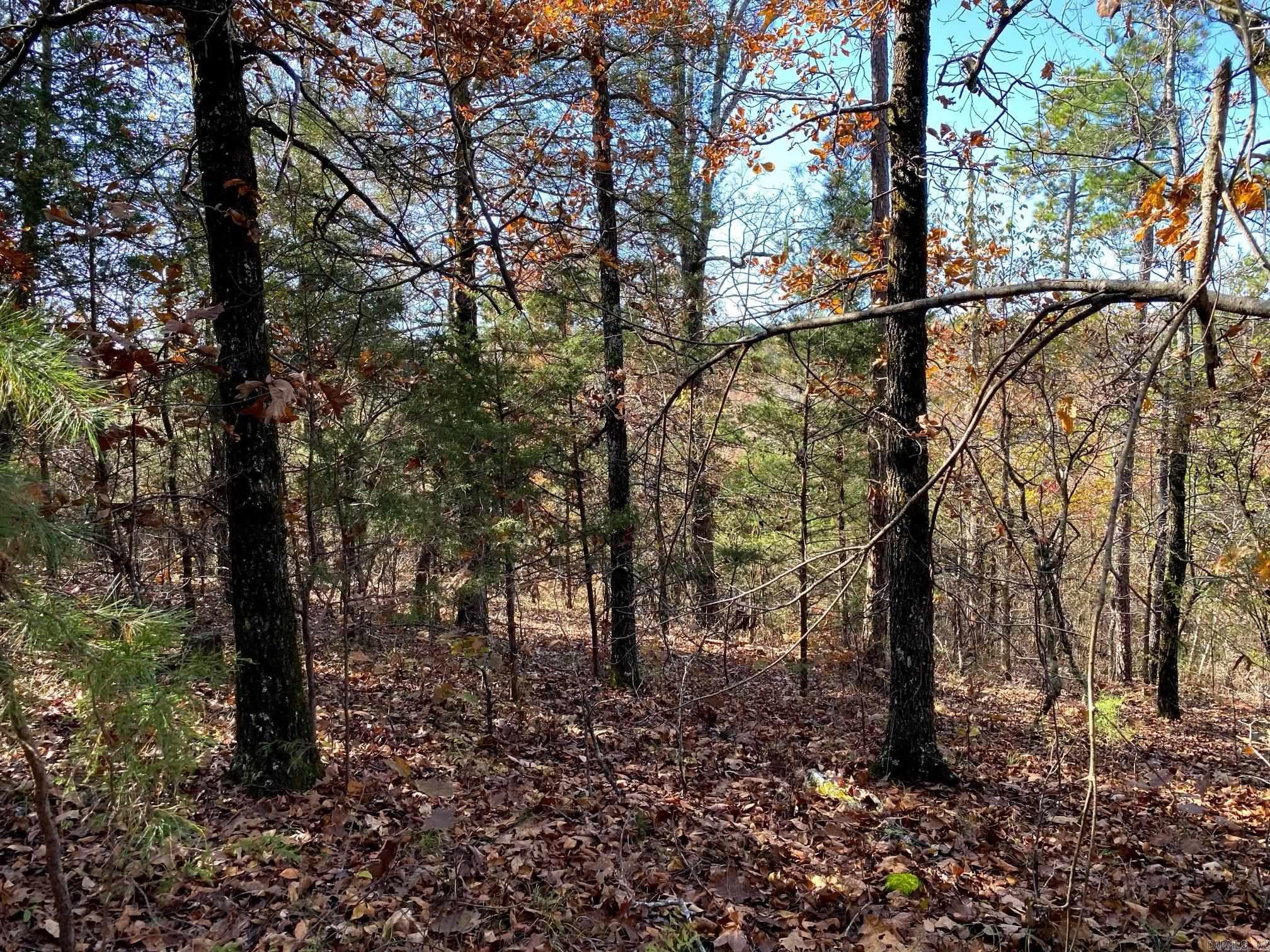 Photo 2 - Vacant Land for sale –   Foster Cemetery Rd.   Scotland, AR