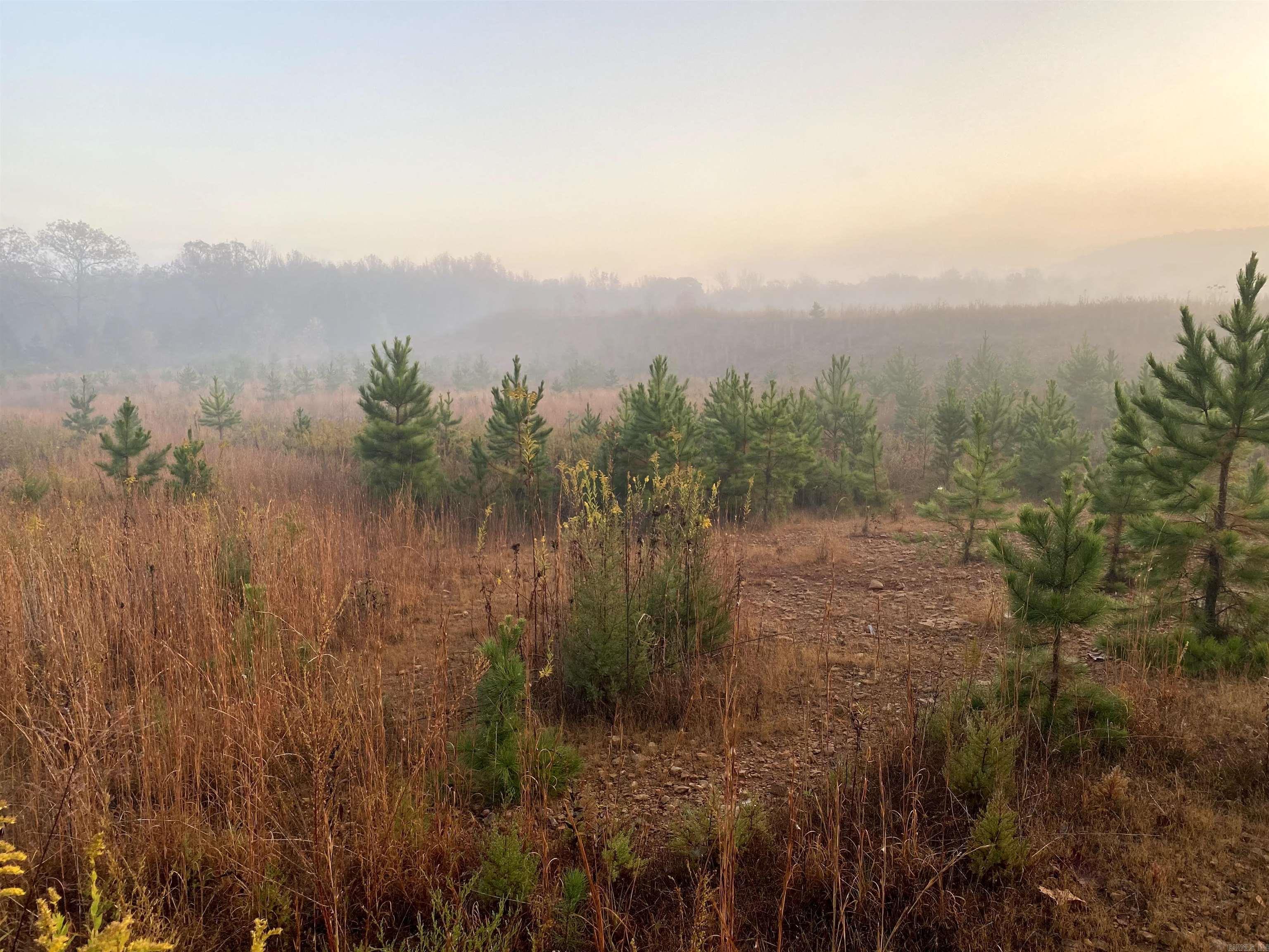 Photo 11 - Vacant Land for sale –   Foster Cemetery Rd.   Scotland, AR