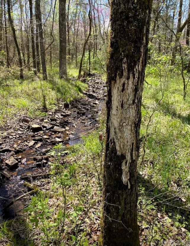 Photo 12 - Vacant Land for sale –   Foster Cemetery Rd.   Scotland, AR