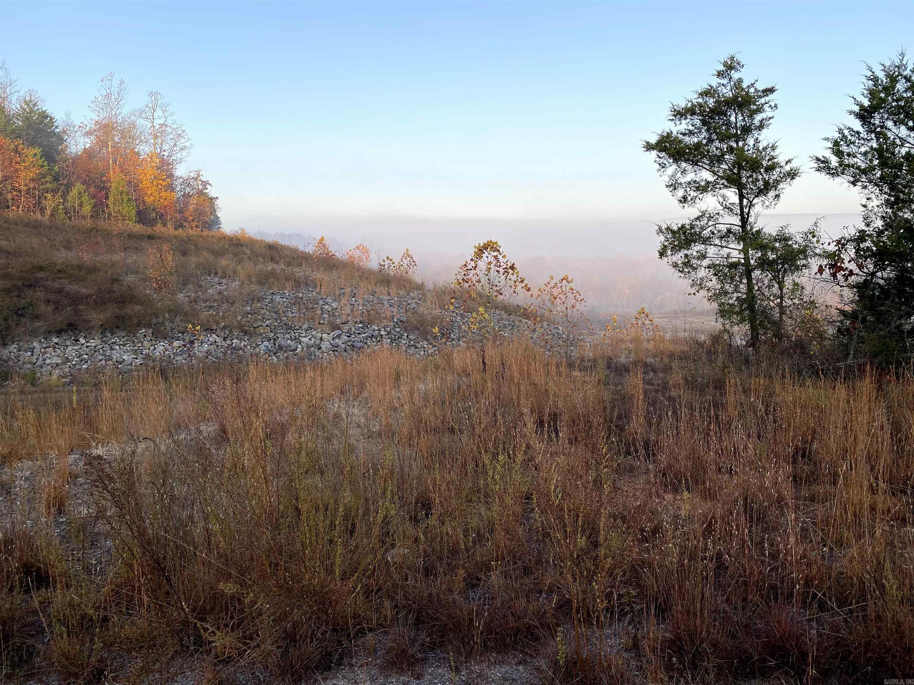 Photo 13 - Vacant Land for sale –   Foster Cemetery Rd.   Scotland, AR