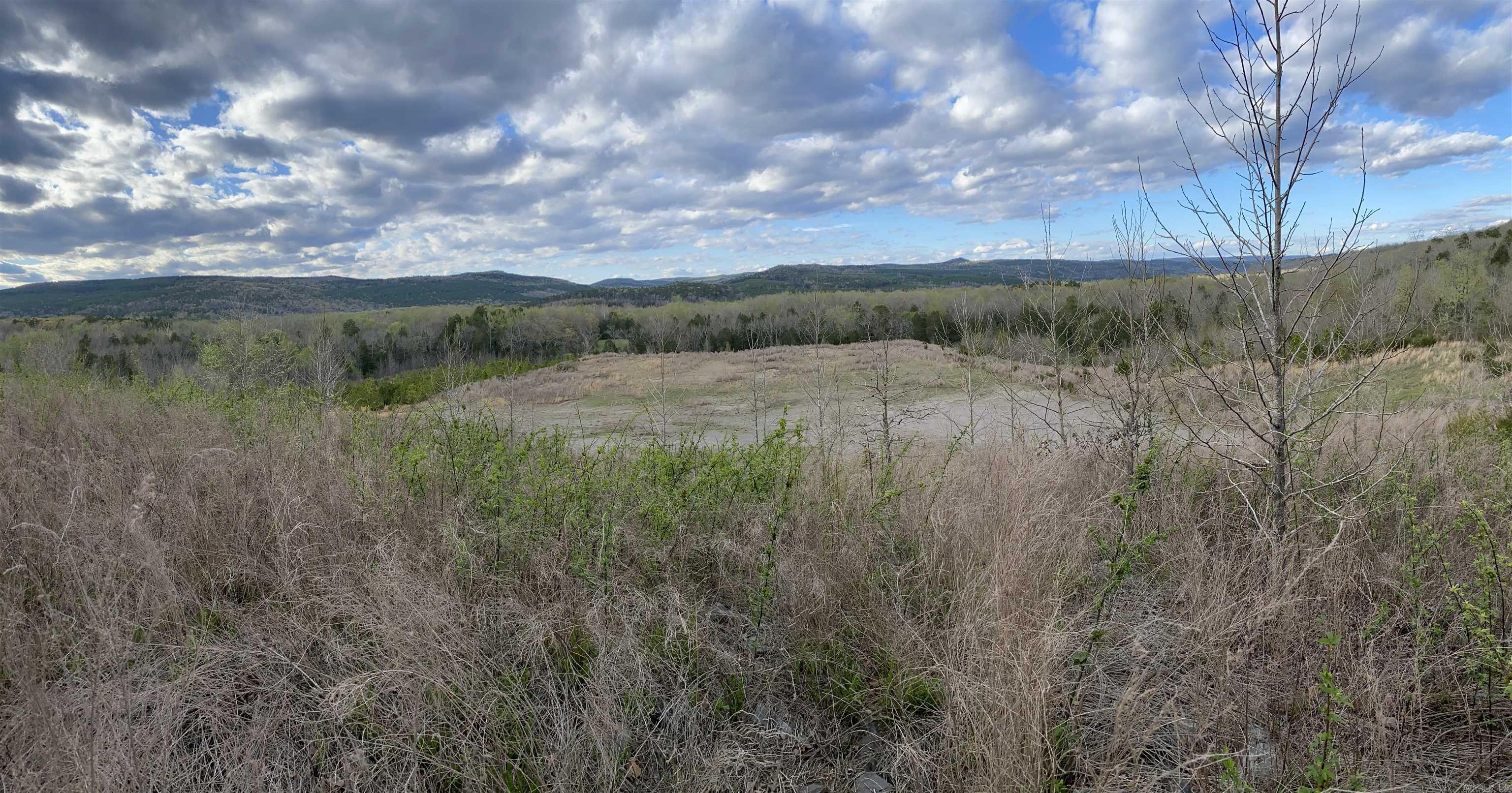 Photo 14 - Vacant Land for sale –   Foster Cemetery Rd.   Scotland, AR