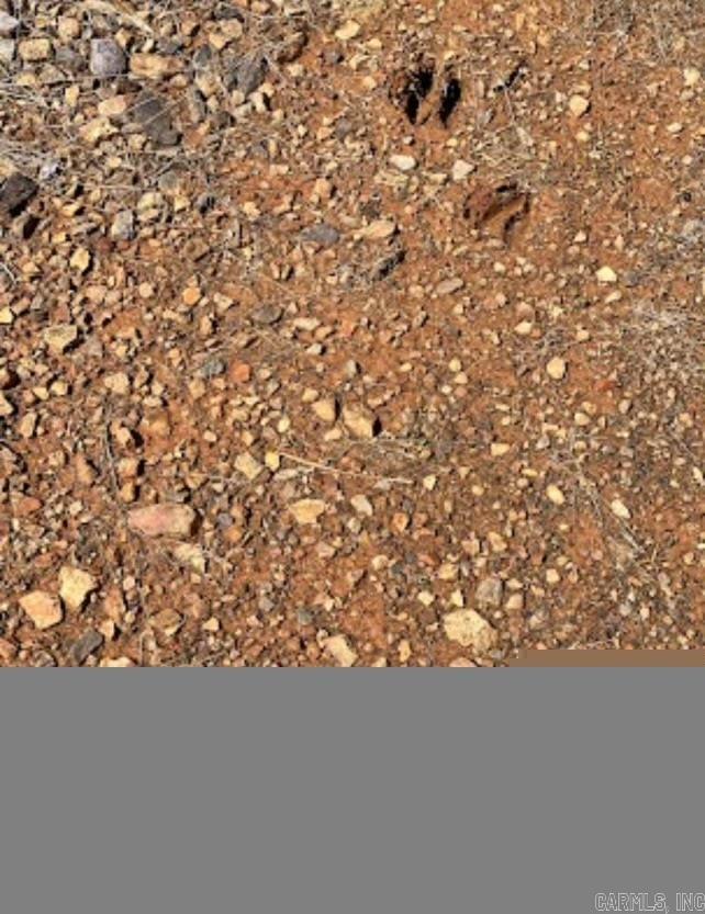 Photo 3 - Vacant Land for sale –   Foster Cemetery Rd.   Scotland, AR