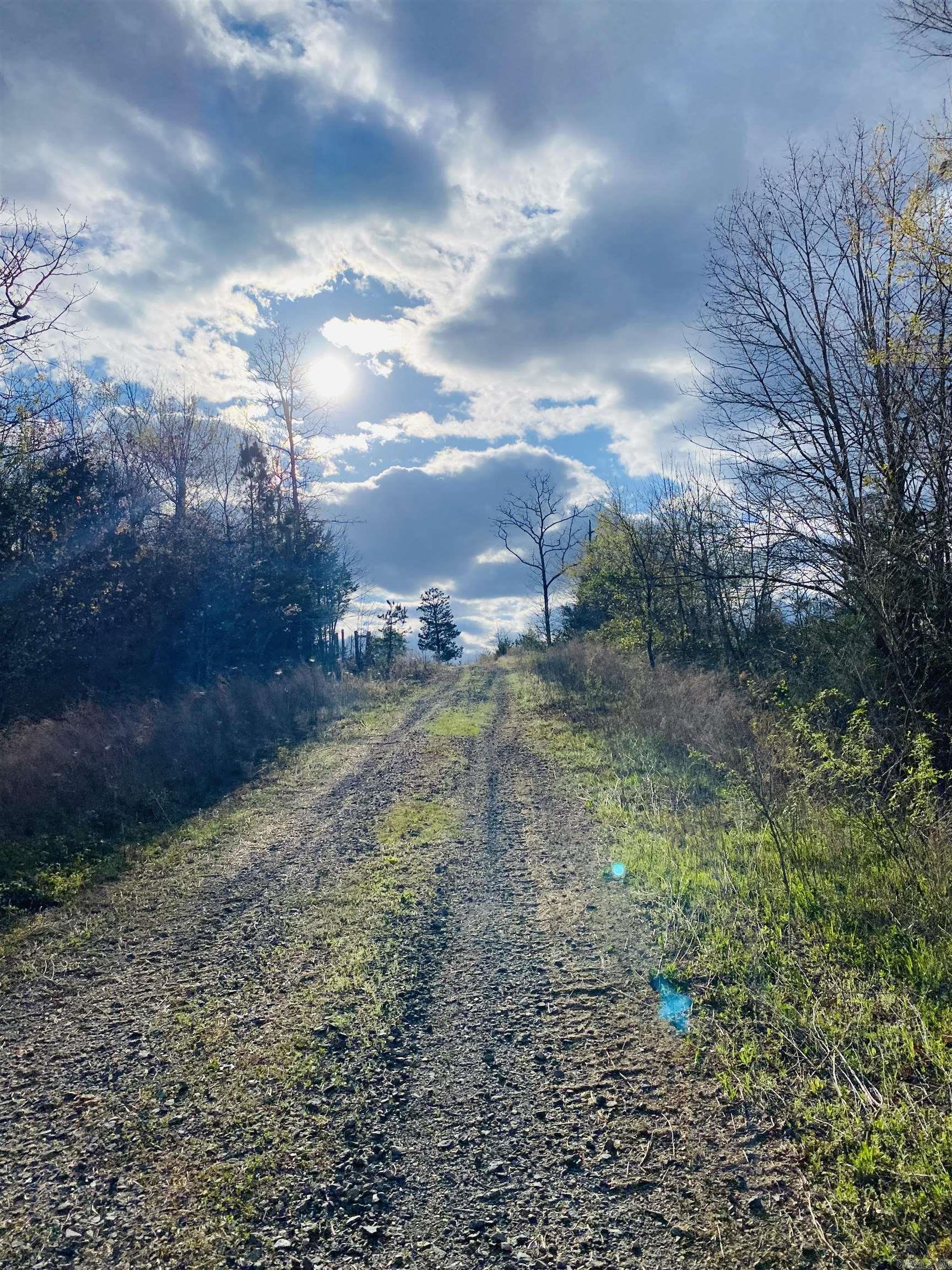 Photo 6 - Vacant Land for sale –   Foster Cemetery Rd.   Scotland, AR