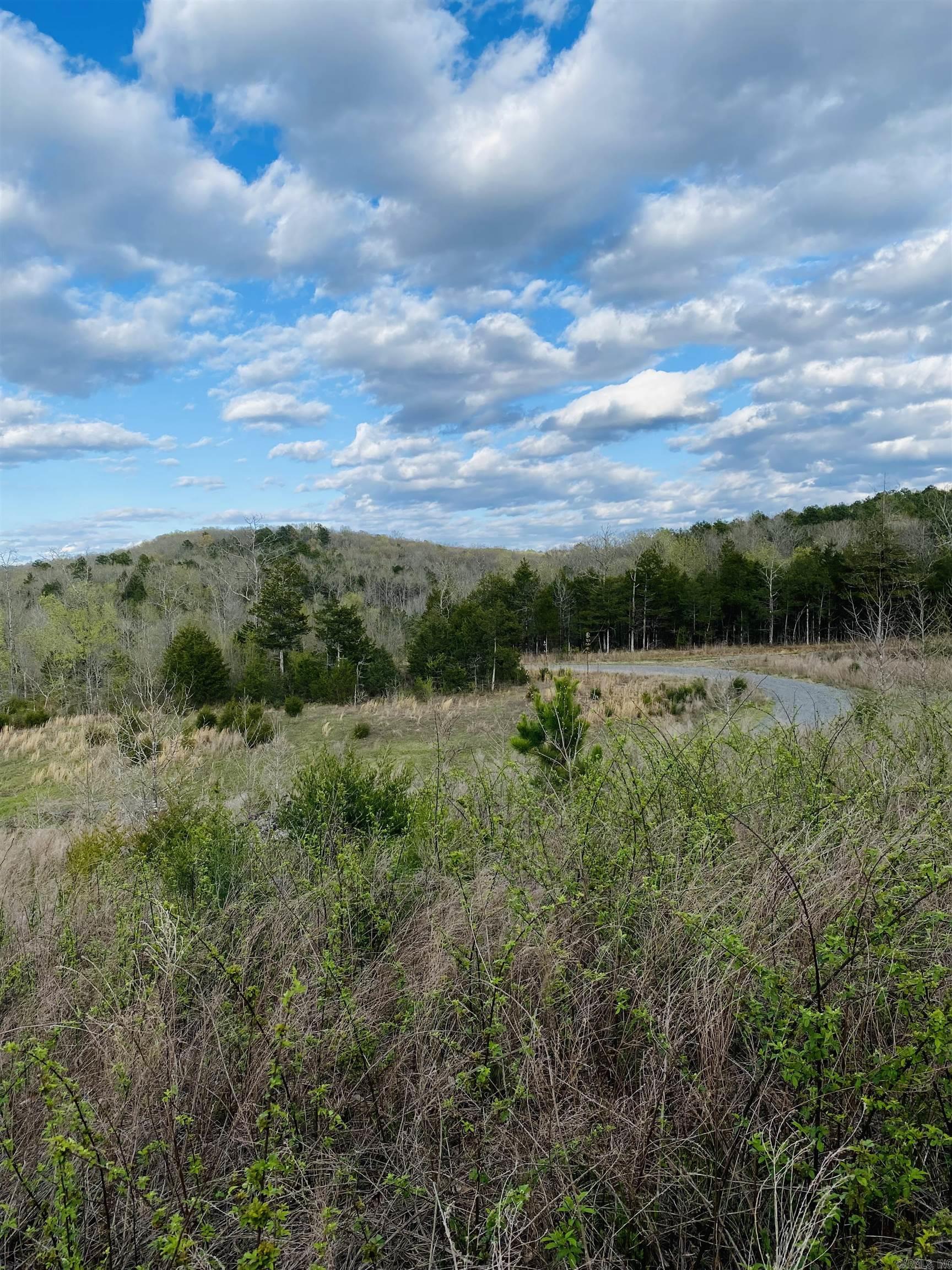 Photo 7 - Vacant Land for sale –   Foster Cemetery Rd.   Scotland, AR