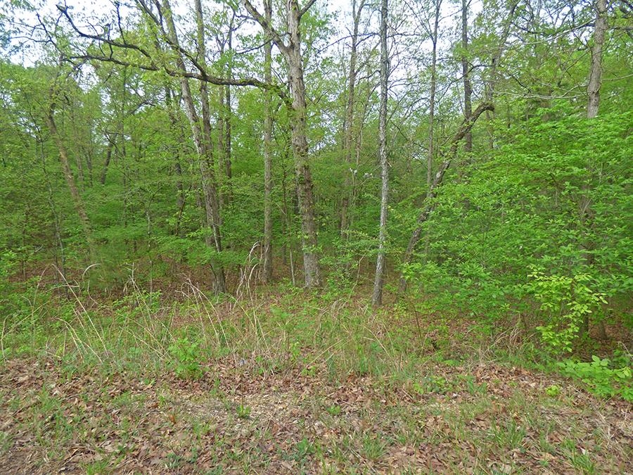 Vacant Land for sale –   Cochise   Cherokee Village, AR