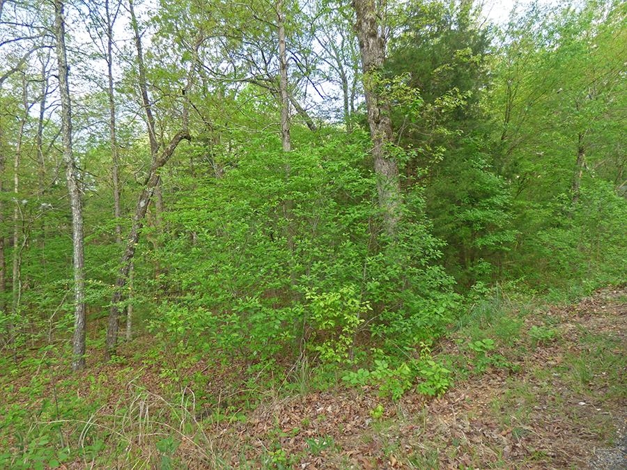 Photo 3 - Vacant Land for sale –   Cochise   Cherokee Village, AR