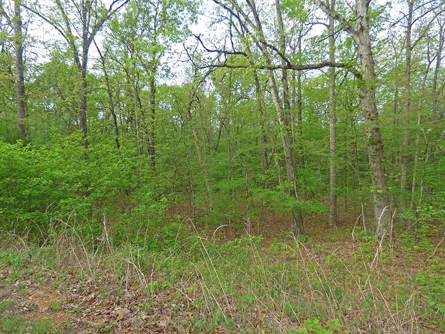 Photo 4 - Vacant Land for sale –   Cochise   Cherokee Village, AR
