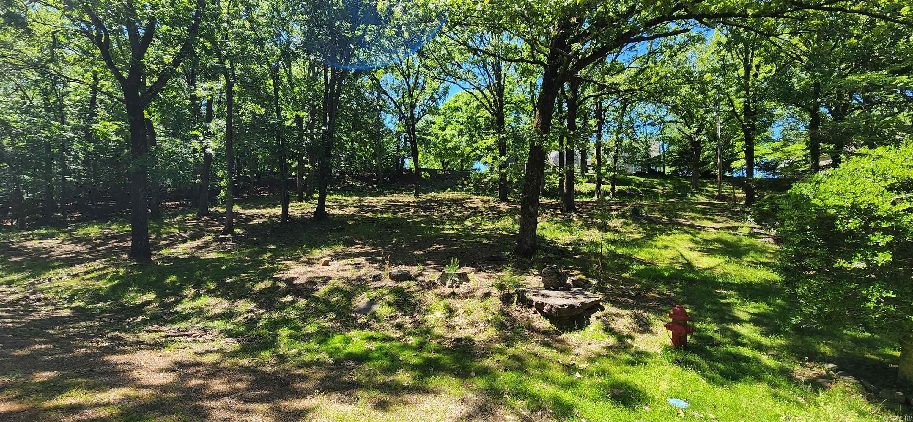 Eden Isle Lot Birchbrook Heber Springs, AR 72543 MLS 24016045