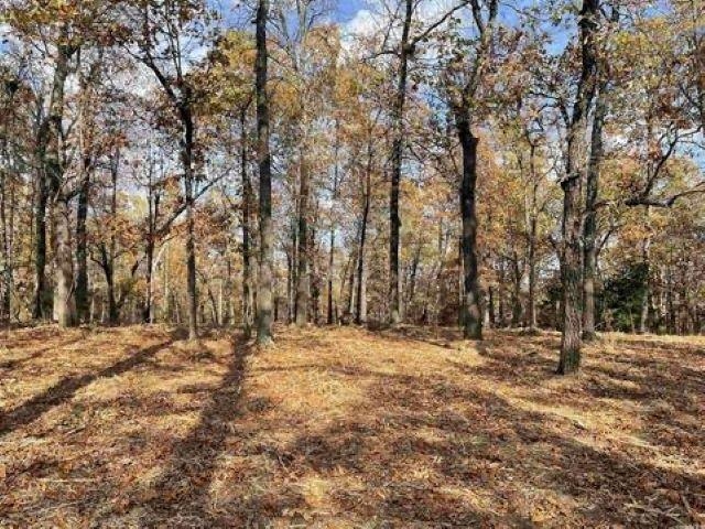 Photo 6 - Vacant Land for sale – 709  Primrose Lane   Horseshoe Bend, AR