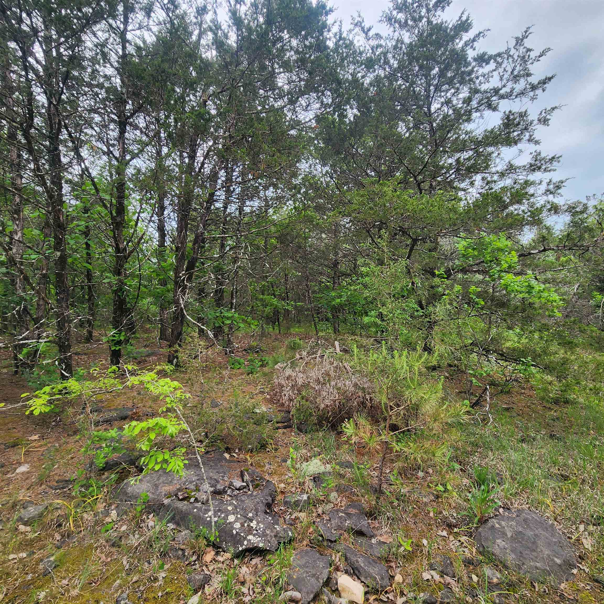 Photo 2 - Vacant Land for sale –   Powells Chapel   Evening Shade, AR