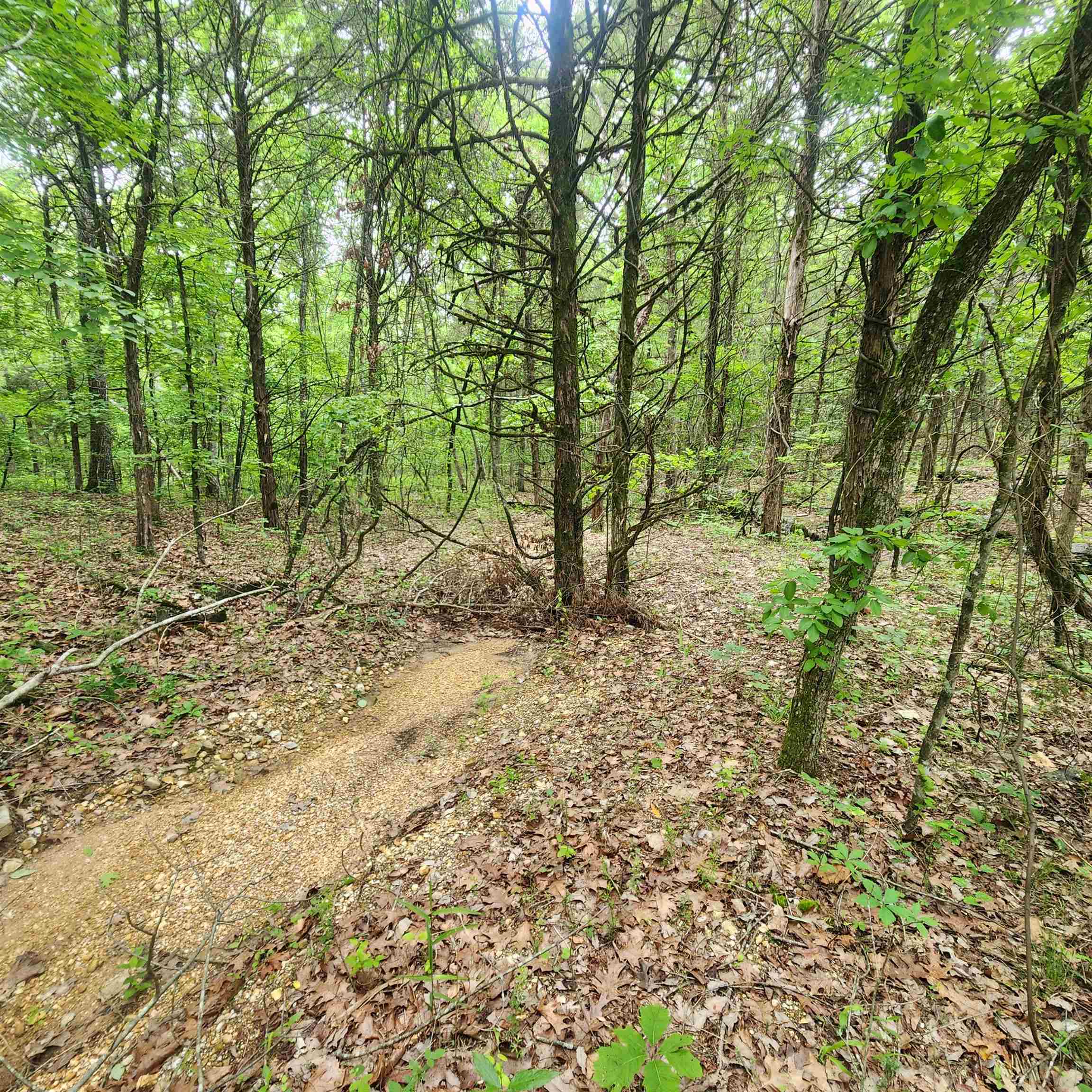 Photo 17 - Vacant Land for sale –   Powells Chapel   Evening Shade, AR