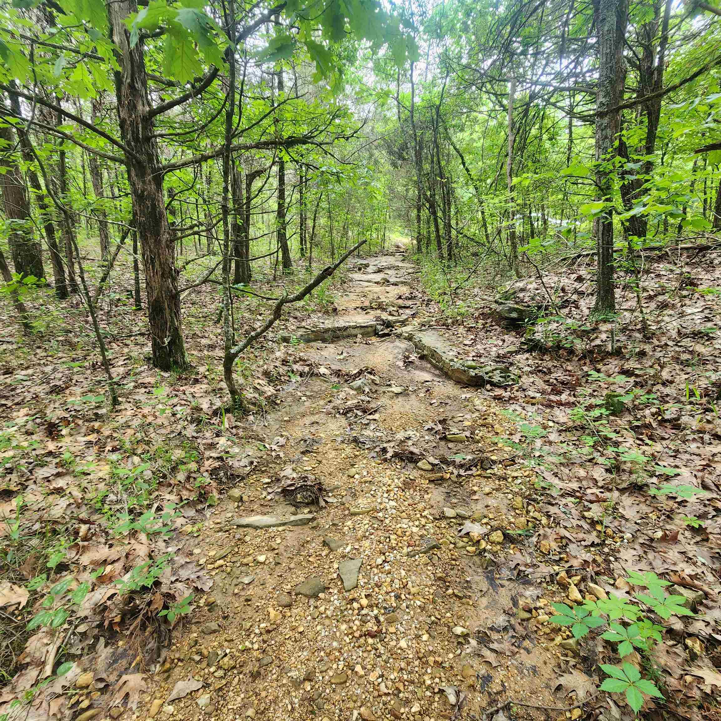 Photo 18 - Vacant Land for sale –   Powells Chapel   Evening Shade, AR
