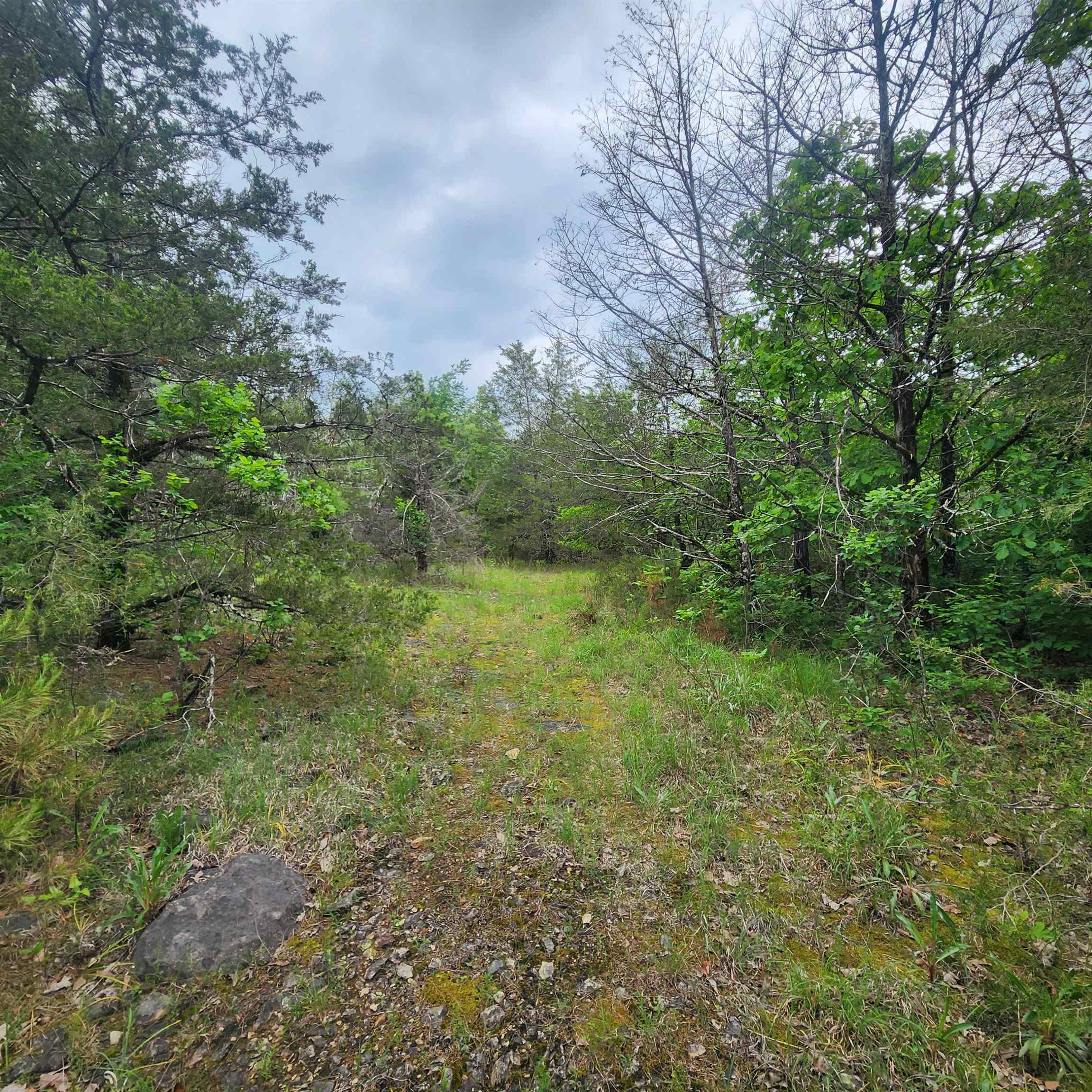 Photo 3 - Vacant Land for sale –   Powells Chapel   Evening Shade, AR