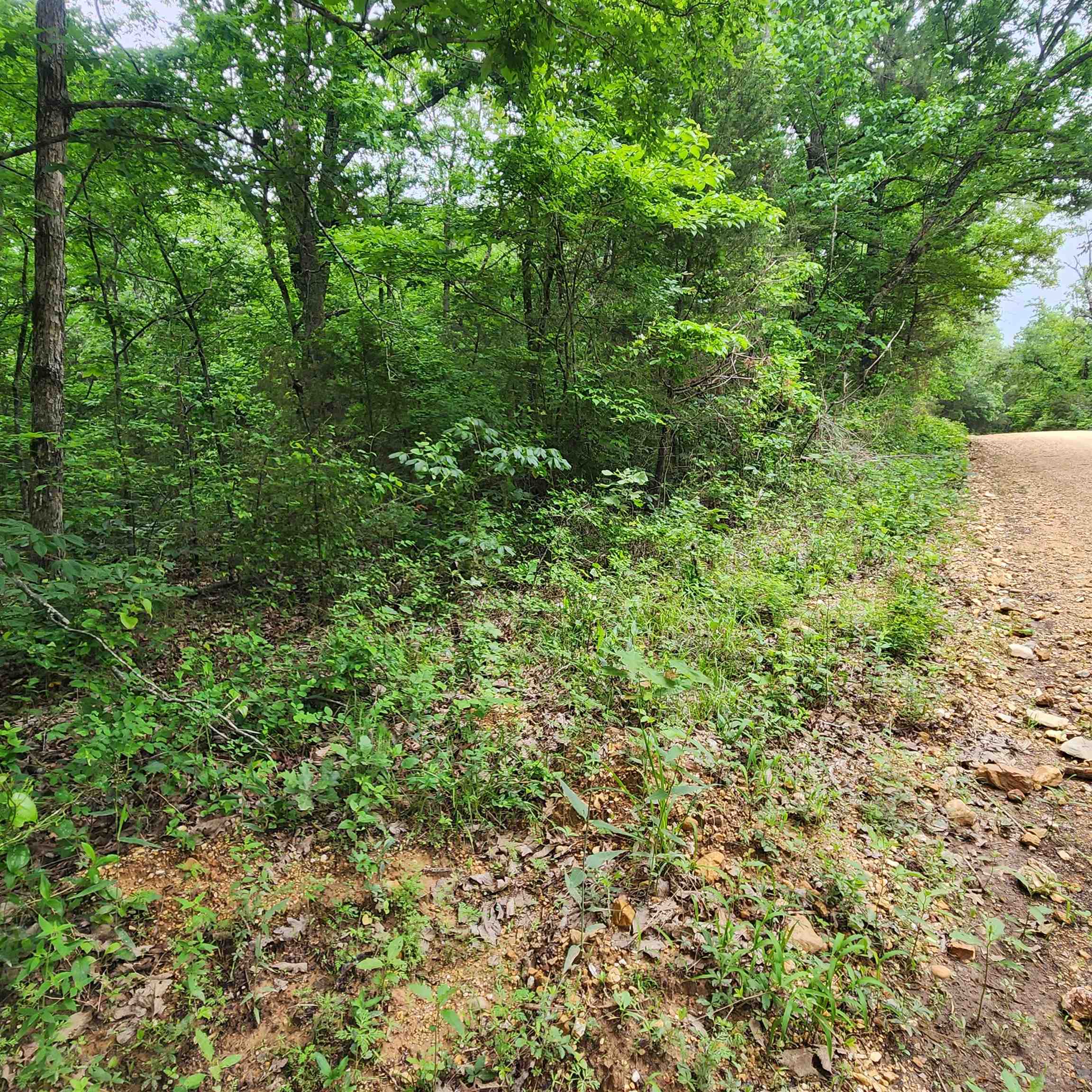 Photo 29 - Vacant Land for sale –   Powells Chapel   Evening Shade, AR