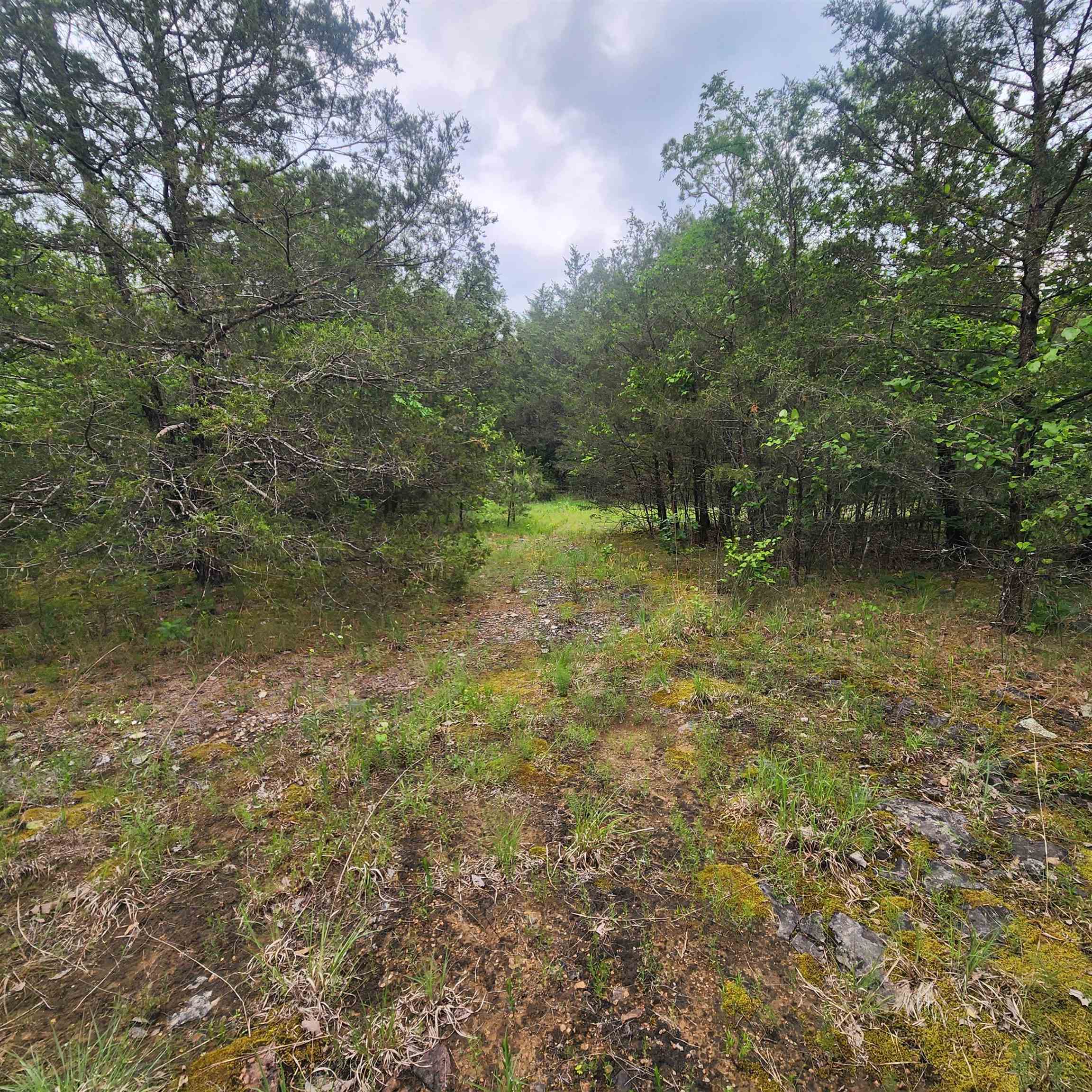 Photo 4 - Vacant Land for sale –   Powells Chapel   Evening Shade, AR