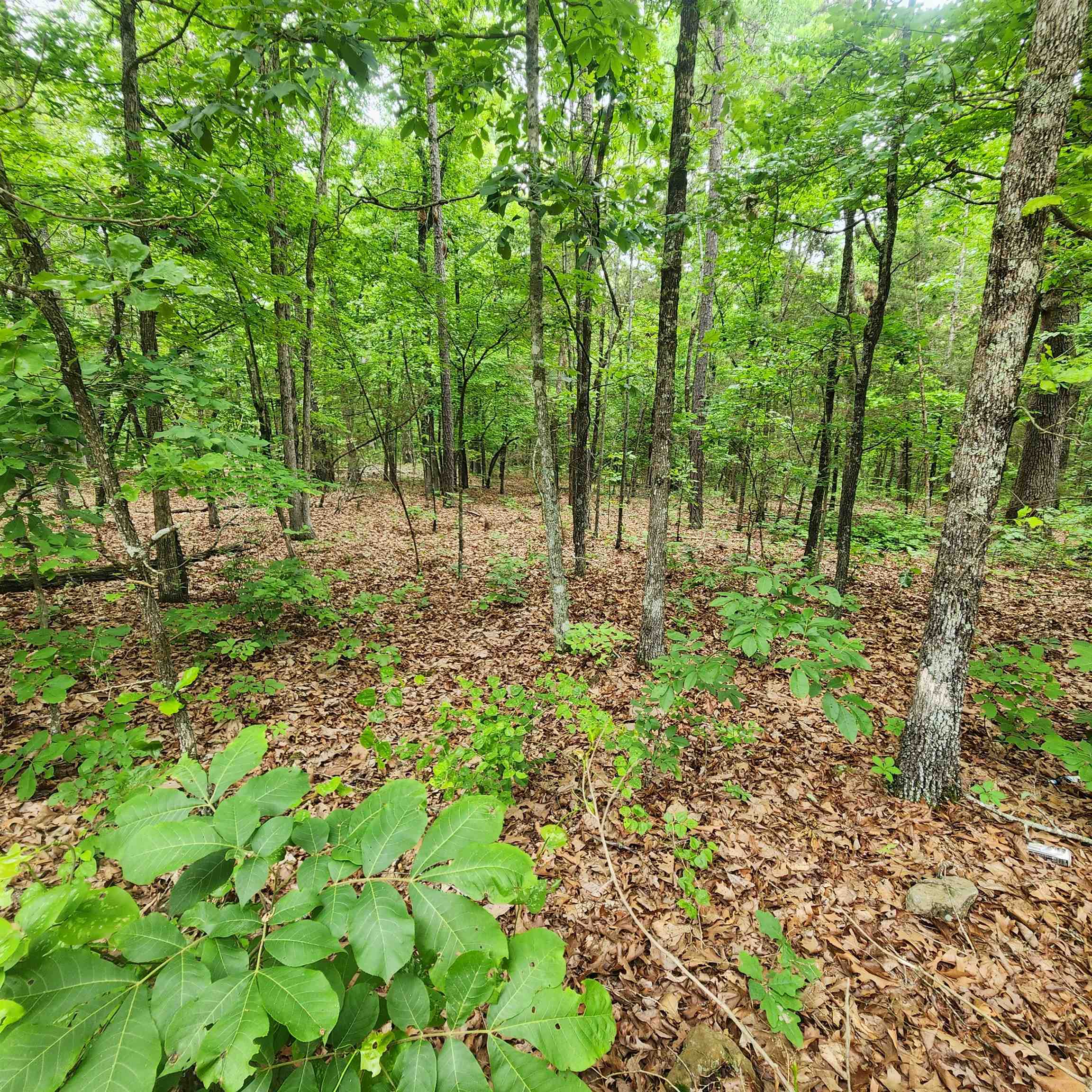 Photo 34 - Vacant Land for sale –   Powells Chapel   Evening Shade, AR