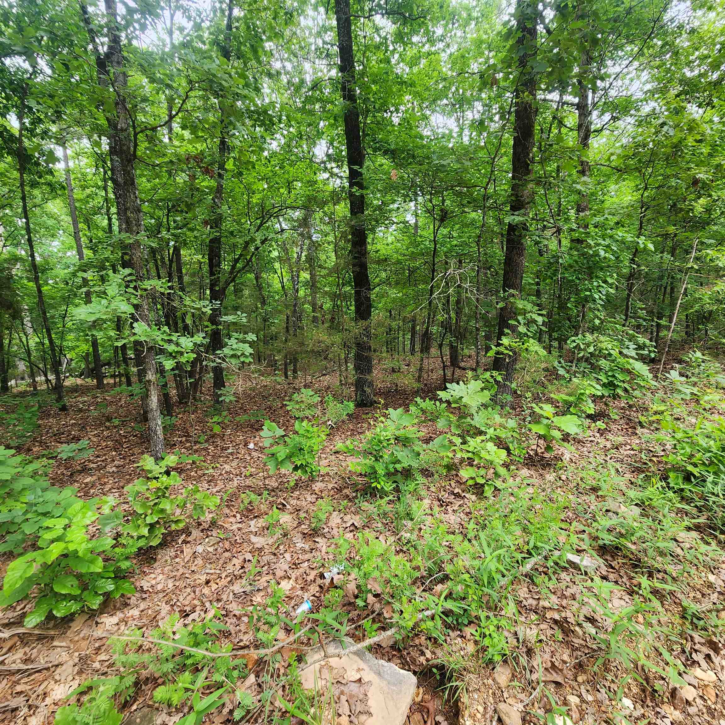 Photo 39 - Vacant Land for sale –   Powells Chapel   Evening Shade, AR